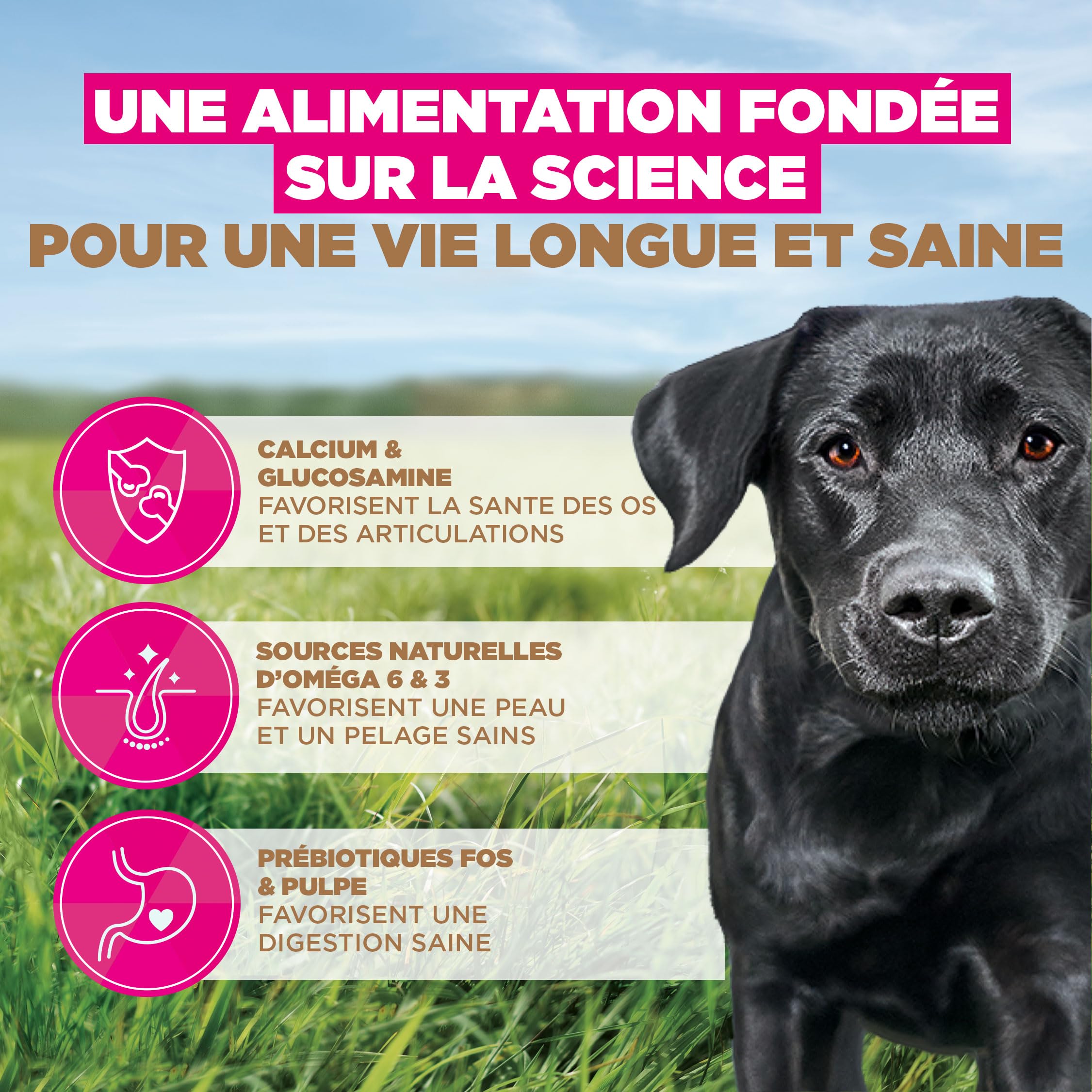 EUKANUBA Chien Adulte Petite/Moyenne sans Céréales Poulet 12 kg
