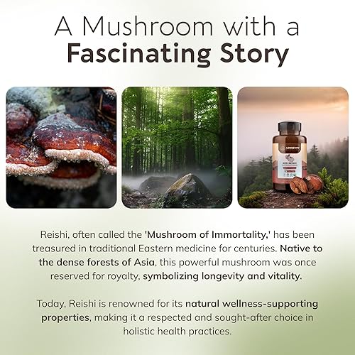 Miniatura 8 de Suplemento orgánico de cápsulas de hongos Reishi (120)  Extracto de alta resistencia 101 de cuerpo fructífero puro  30% de glucanos beta-D  9,000 mg