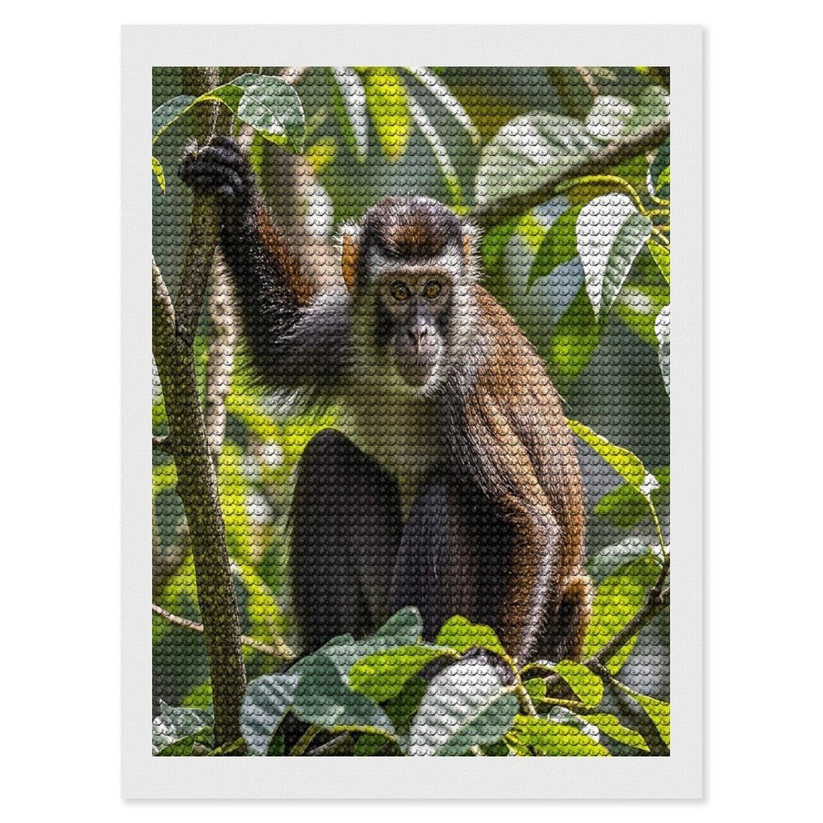 FekiLoot Monkey Diamond Painting Kits for Beginners DIY Diamond Art Kits for Adults Full Drill Round Diamond Dot Gem Art Painting Fun DIY Crafts for Home Kitchen Wall Decor Gift 12"x16"
