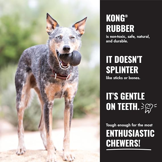 KONG Extreme Goodie Bone, Natural Rubber, Black, for Extra Large Dogs
