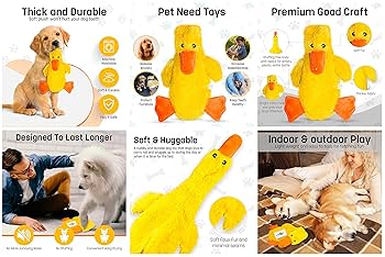 食器 A Dog of Flanders. Not for Sale. A Dog of Flanders - A World Masterpiece to Read Before the