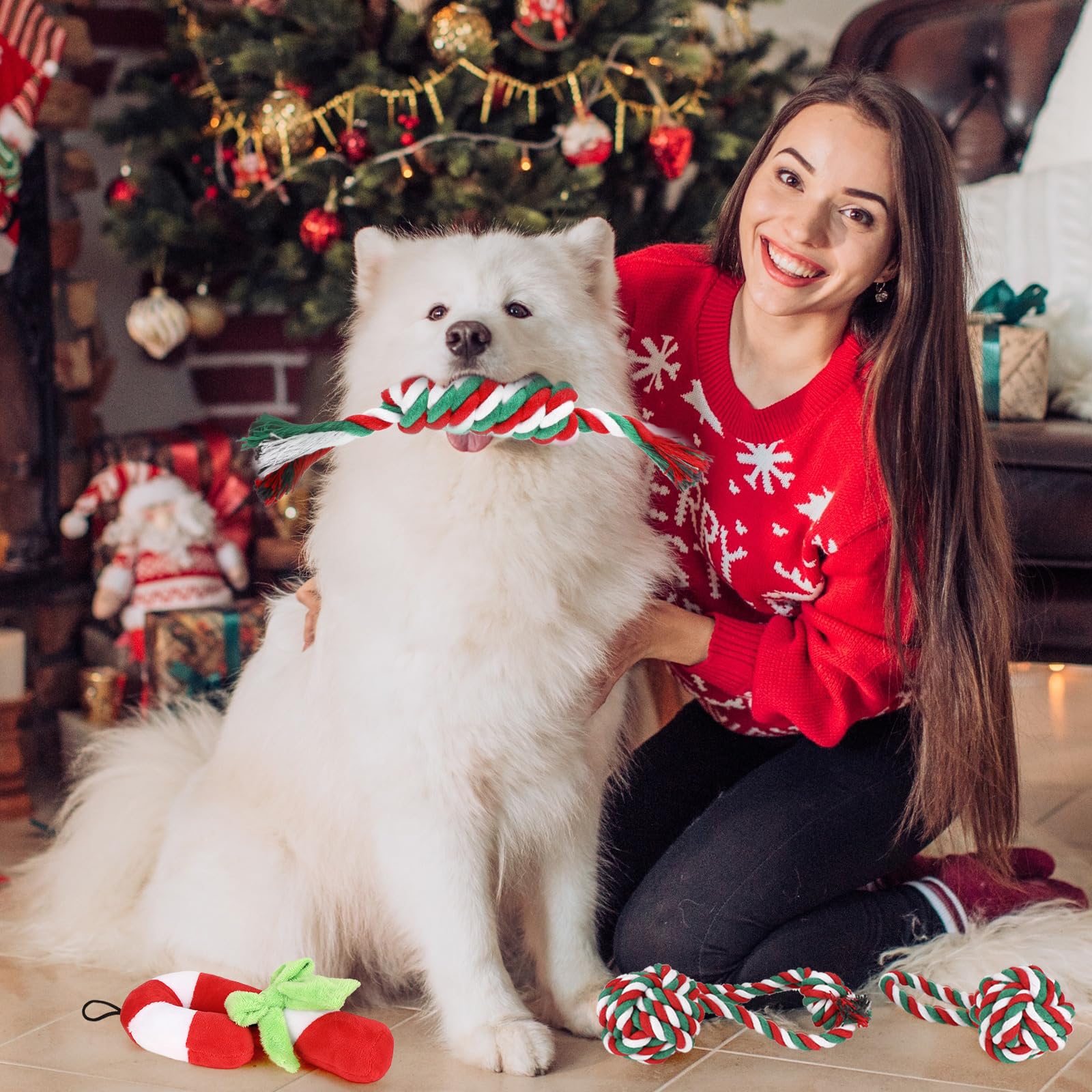 Abbylike Kauspielzeug für Hunde, waschbar, buntes Baumwollseil, für Welpen, interaktives Spielzeug, Seilspielzeug für Haustiere, kleine, mittelgroße Hunde (weißer Schneemann), 11 Stück