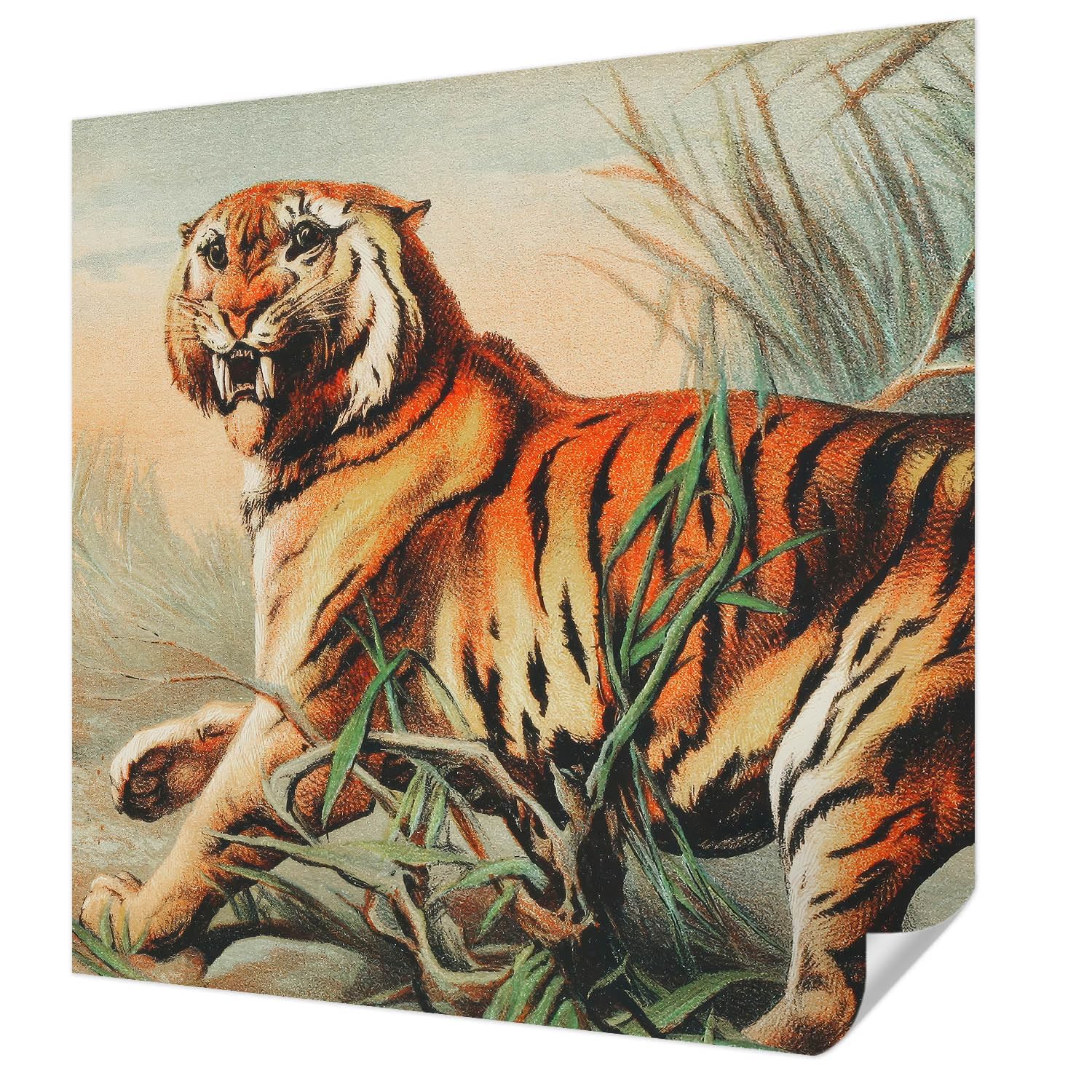 Papier peint auto-adhésif tigre 250x250 cm Tulup pour salon