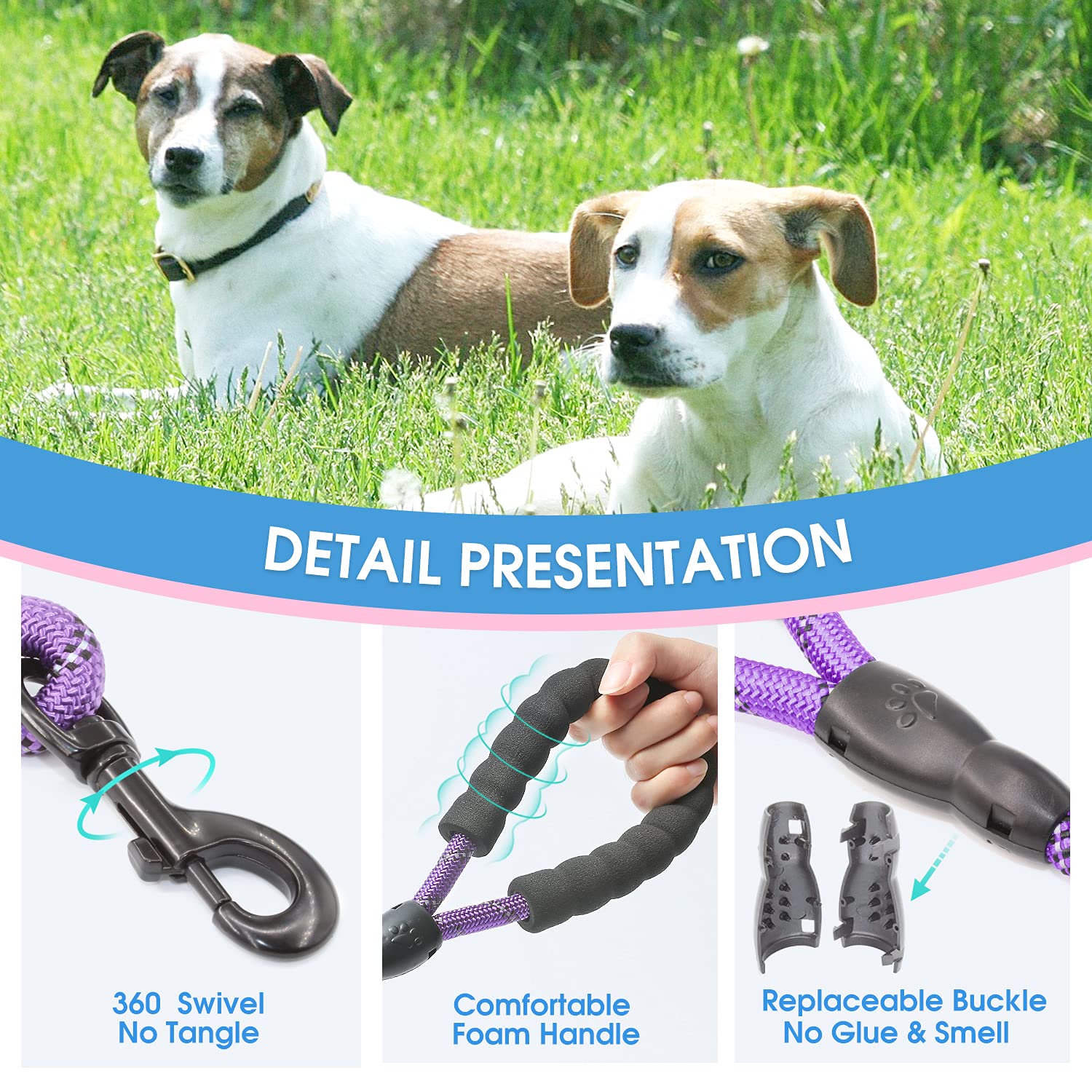 BAAPET Correa de Perro Fuerte de 5 pies con cómodo asa Acolchada e Hilos Altamente Reflectantes para Perros pequeños, medianos y Grandes (1/2 Pulgadas, Morado)