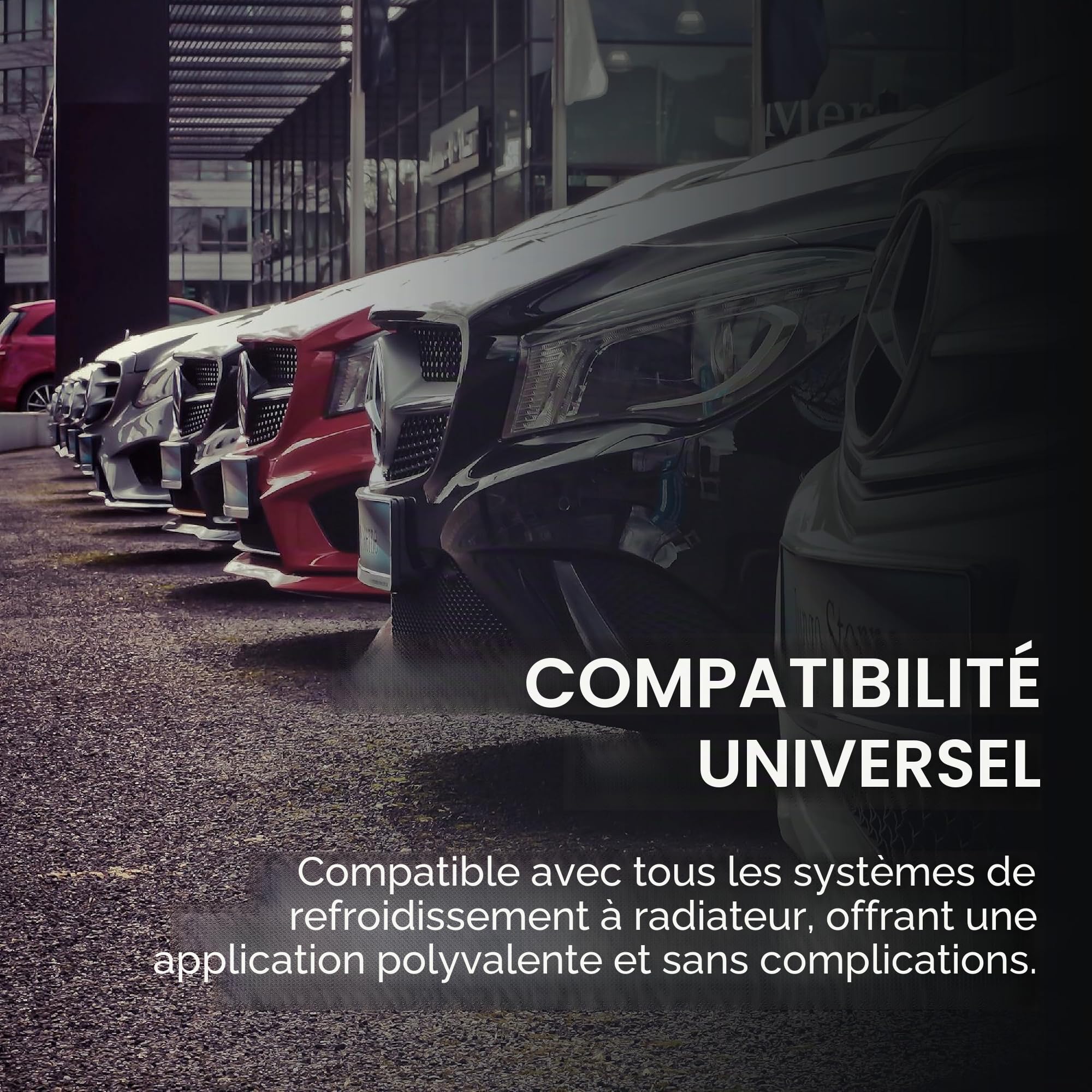 Liquide de Refroidissement Universel Voiture 30% | Protection -18ºC, 10 Litres Vert