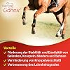 Equitop Gonex granules for horses 750g