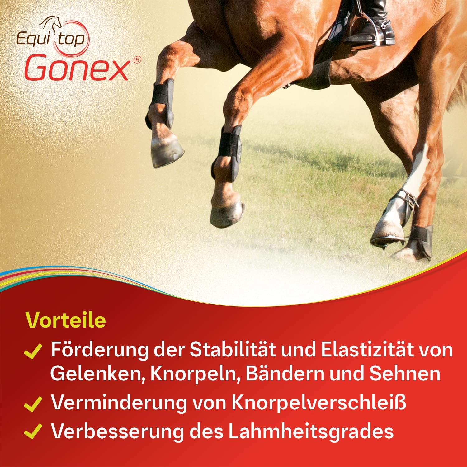 EQUITOP Gonex Granulat Vet.