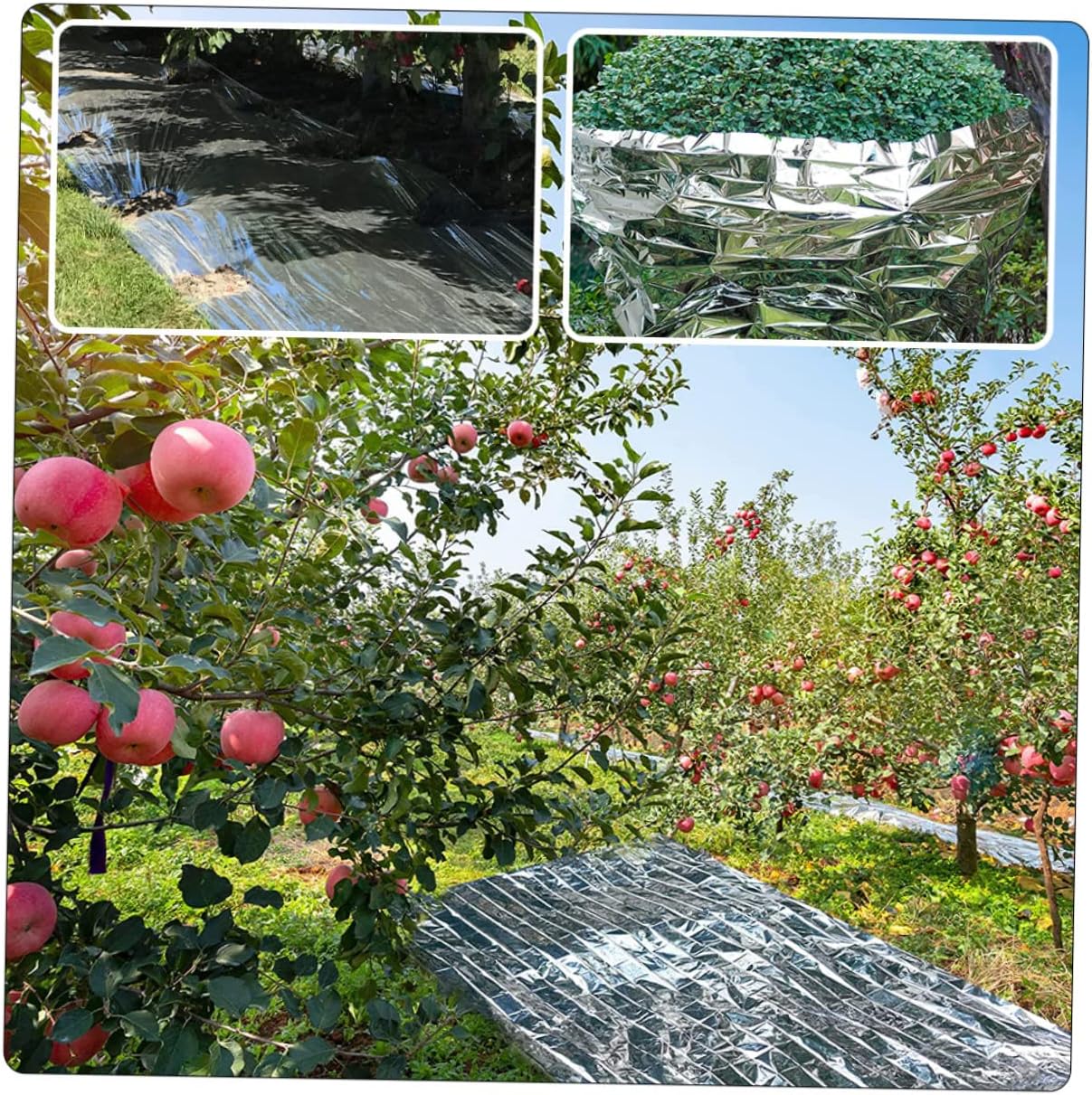 BESPORTBLE Sturdy Reflective Garden Film Reusable Greenhouse Cover for Winter Plant Protection and Emergency Use High-Performance Insulation for Healthy Plant Growth