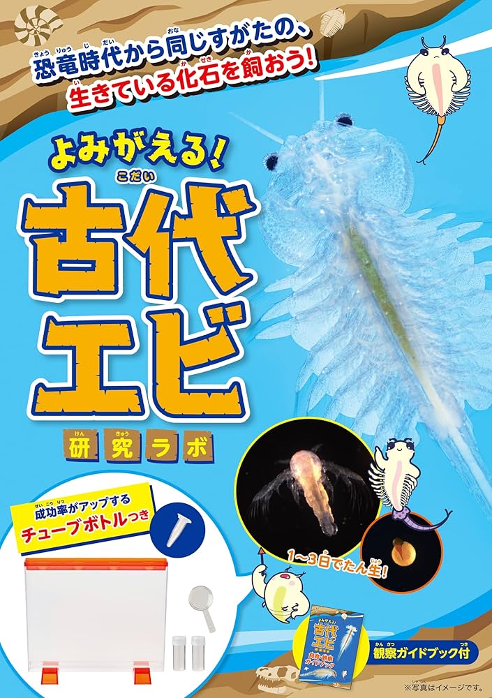 よみがえる日本語 よみがえる日本語: ことばのみなもと「ヲシテ」 | 青木 純雄