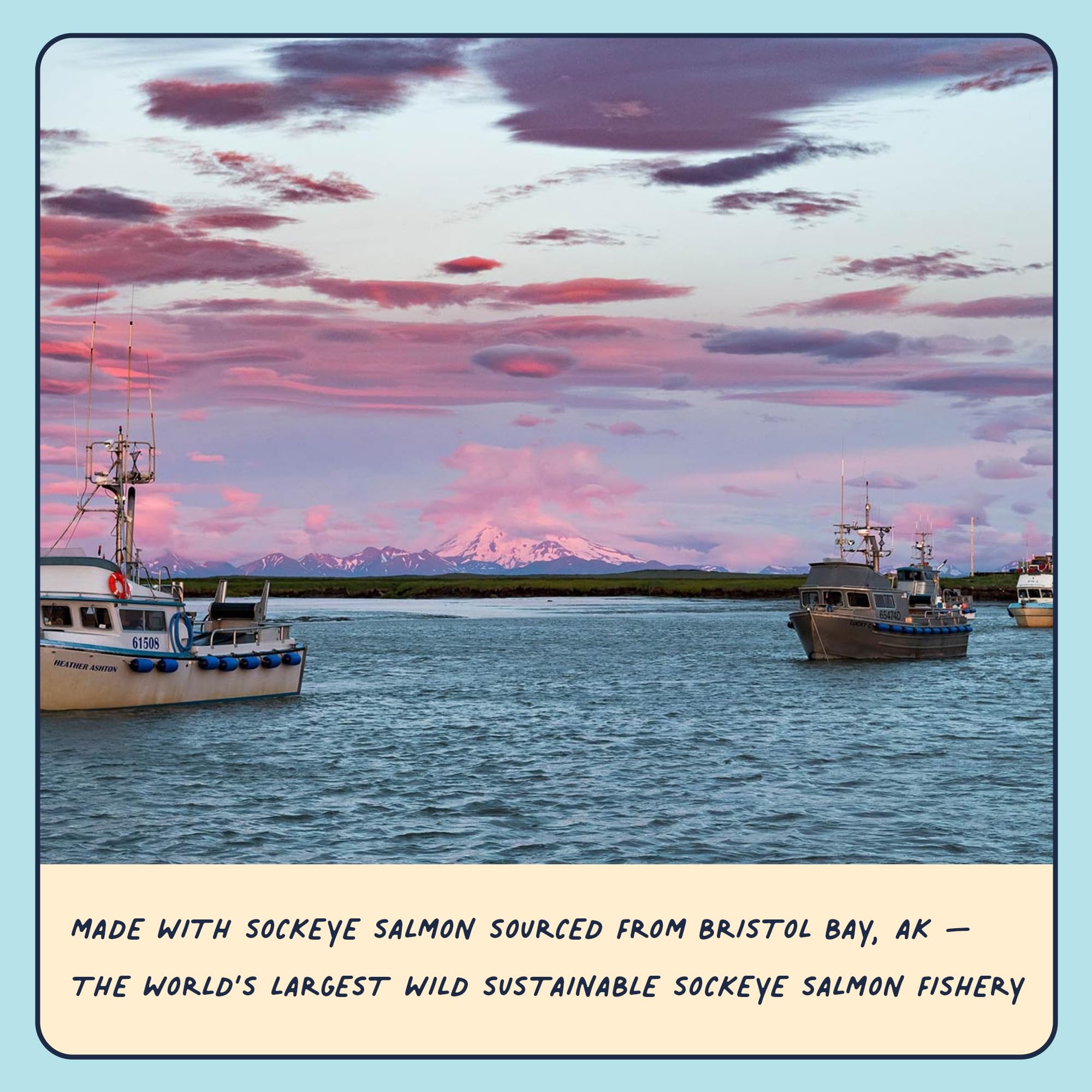 Fable Fish Wild Alaskan Salmon Jerky - Wild Caught Salmon with 31g of Protein - Tasty Fish Jerky with Omega-3s and Natural Source of Collagen - Made with Whole Muscle Sockeye - Sea Salt thumbnail 7
