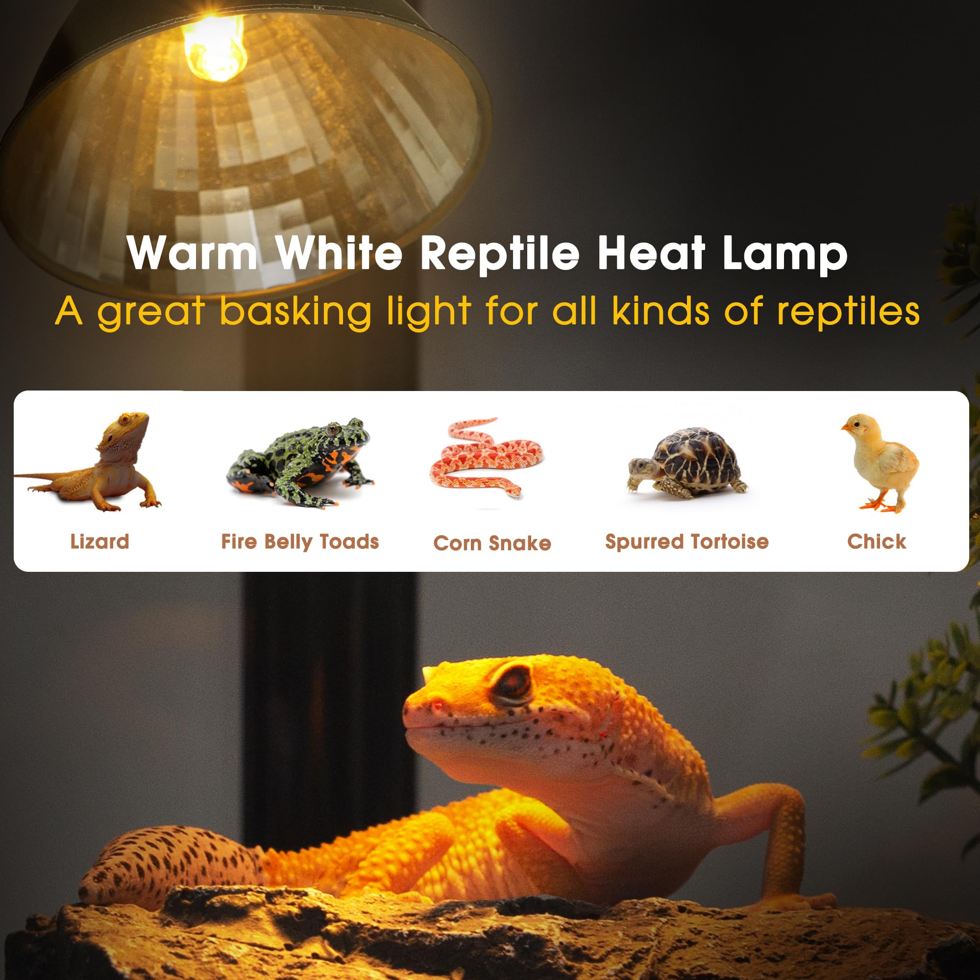 Briignite Reptile Heat Lamp 50W G9 Halogen Heat Bulb & Dome Reptile Light Fixture, Aluminum Reflector, UVA Basking Light for Reptiles, Dimmable Heat Lamp for Chicken Turtle Snake Gecko Lizard - image 2