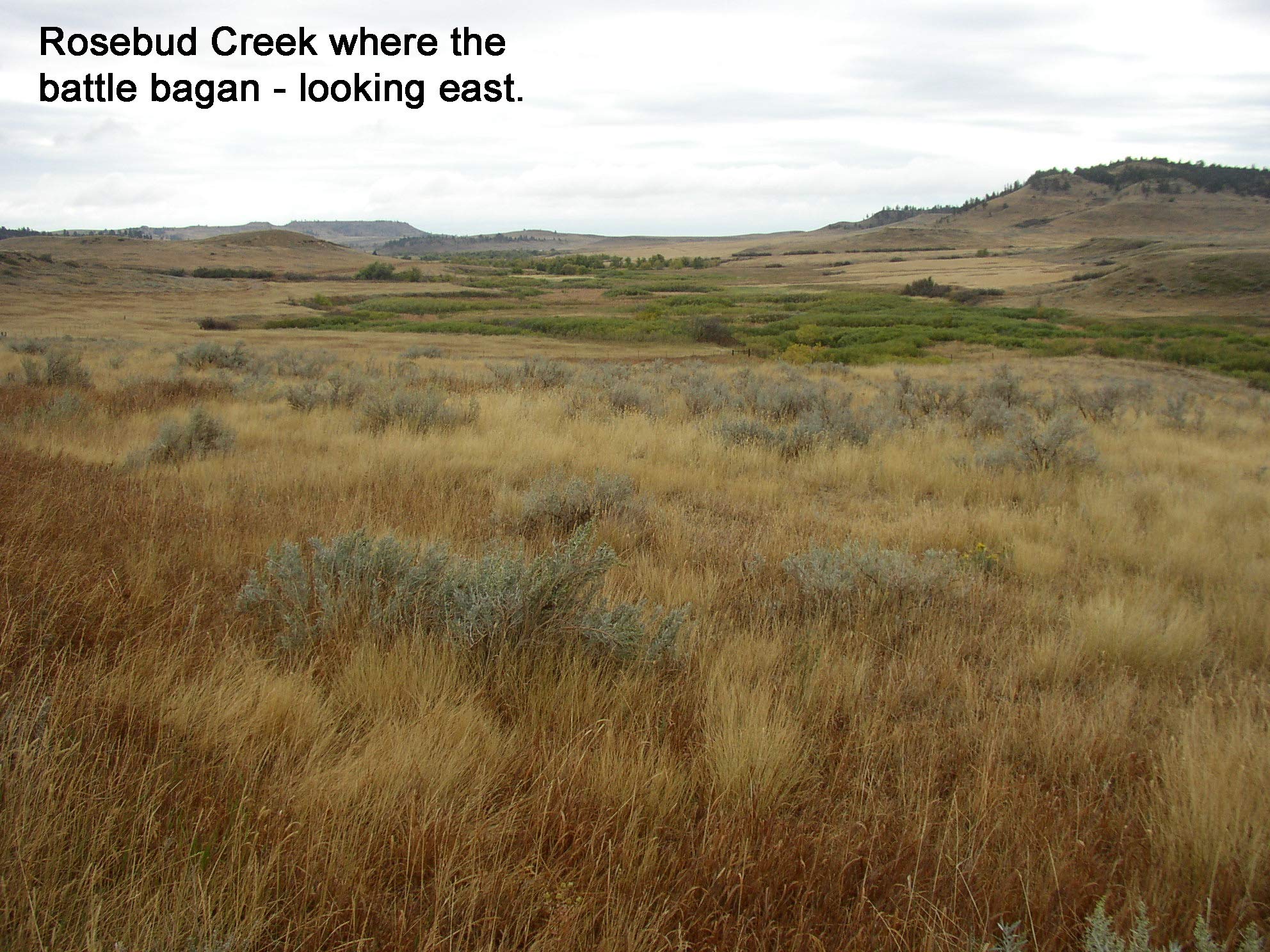 Custer Abandoned - Image 8