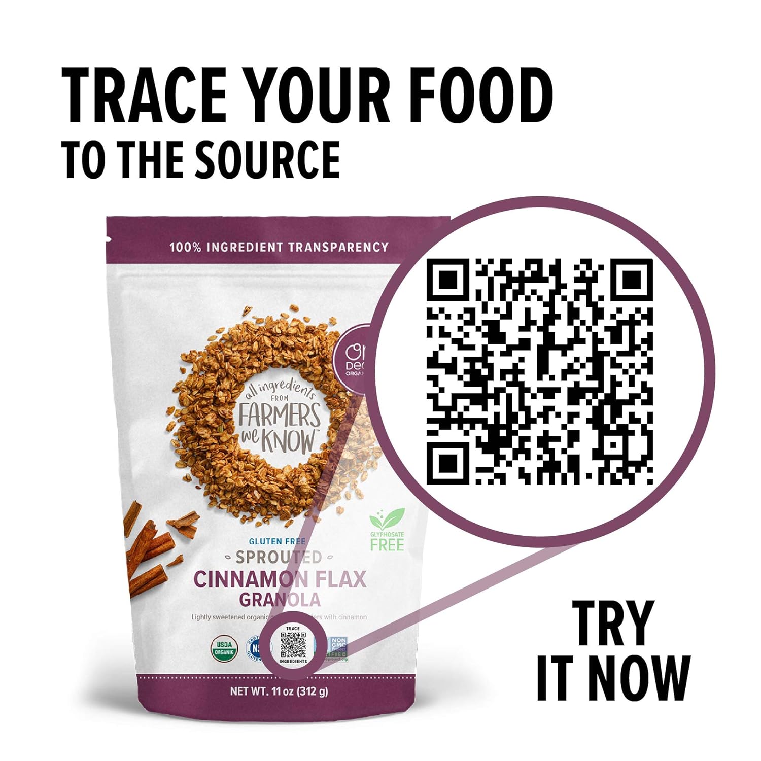 One Degree Organic Foods Sprouted Oat Cinnamon Flax Gluten Free Granola - USDA Organic, Vegan (11 oz. - 6 pack)