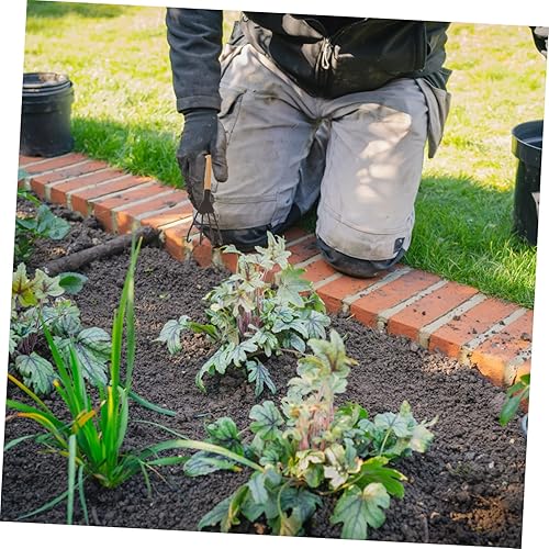 Miniatura 3 de YARNOW 6 piezas de mini parrilla multiusos rastrillo para niños, herramientas de bonsái, meditación, arena, roca, palas de jardín zen, rastrillo de