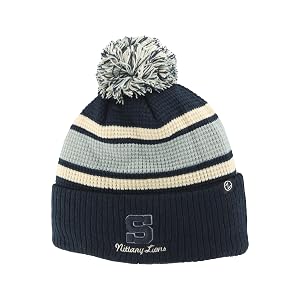 Michigan Wolverines NCAA Officially Licensed Beanie Waffle Knit