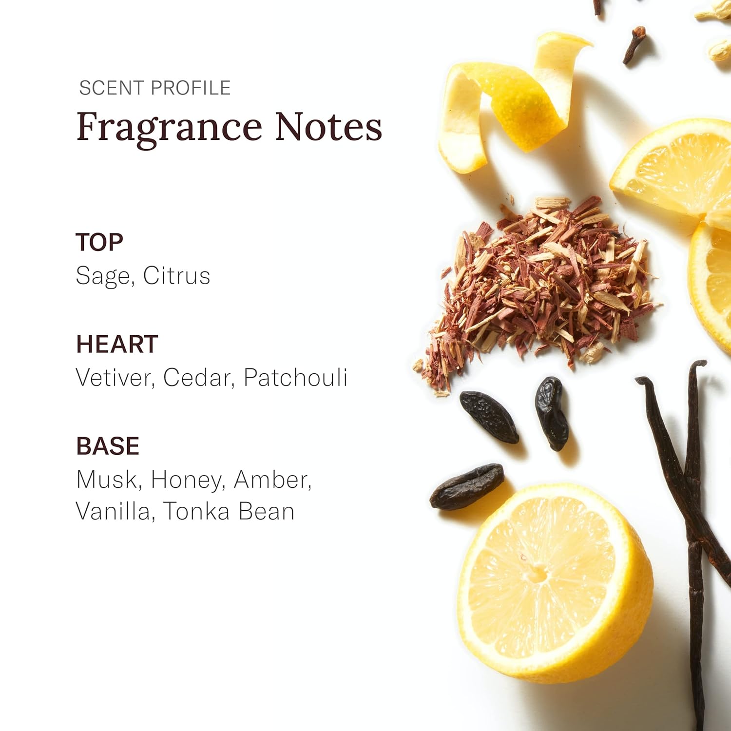 Stetson Original Aftershave - After Shave Splash for Men - Earthy and Woody Aroma with Fragrance Notes of Citrus, Patchouli, and Tonka Bean - 3.5 Fl Oz - Image 4