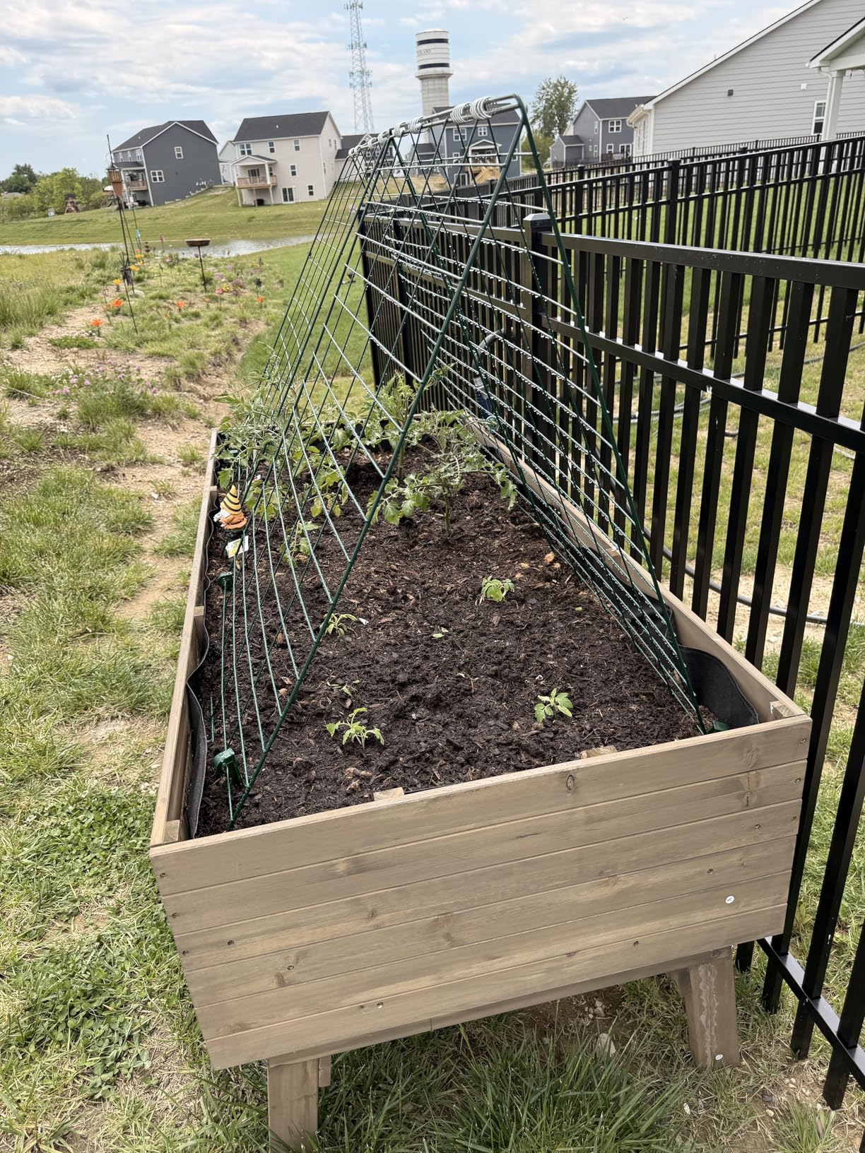 Trellis for Climbing Plants