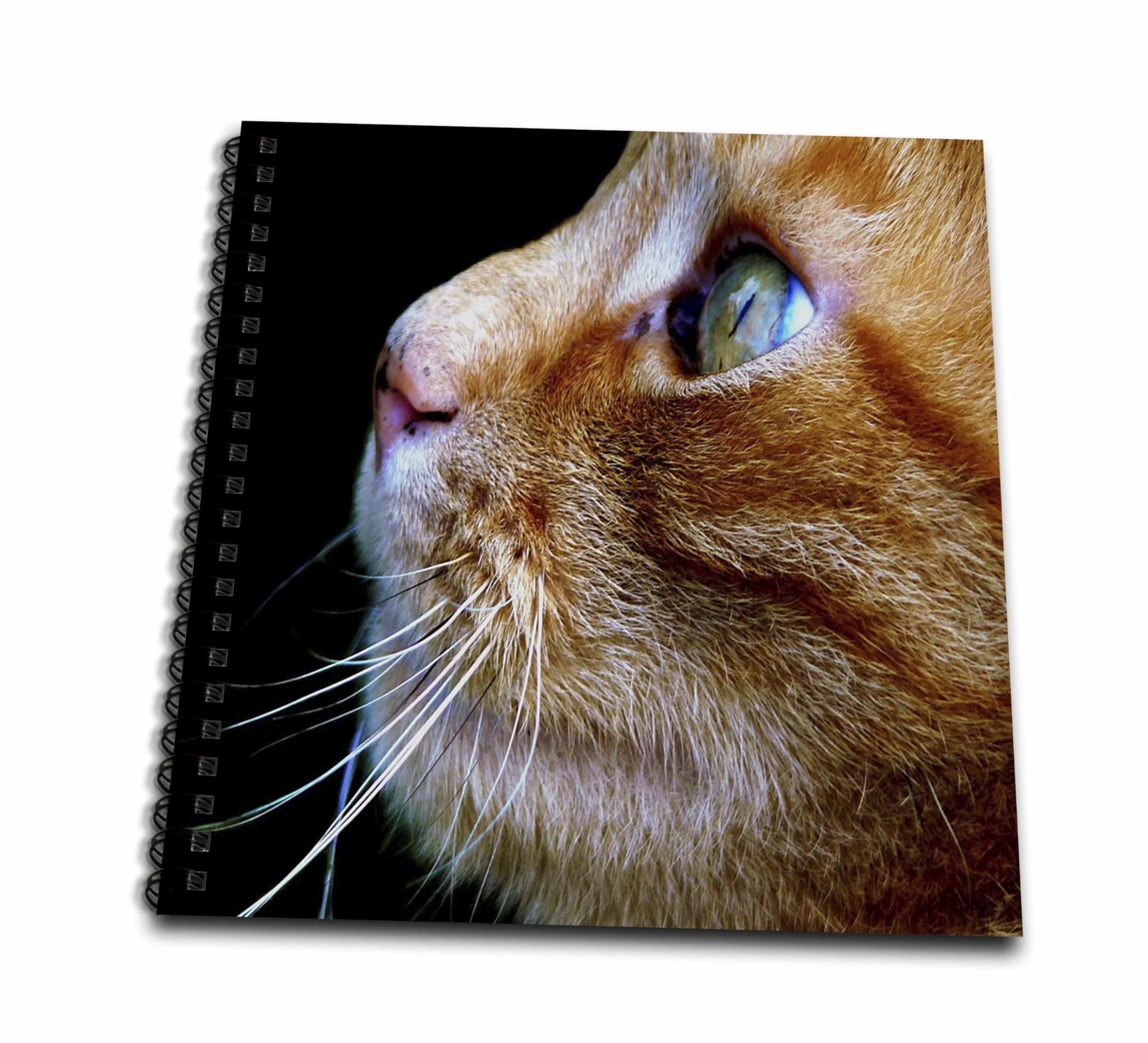 Livre de dessin chat tigré 3dRose 20x20 cm pour croquis et illustrations artistiques