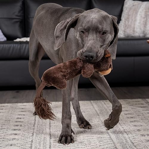 Miniatura 2 de Pet Factory Shake & Squeak Critter Tugz - Juguete de peluche para perro, seleccionado al azar, conejo o castor, talla única