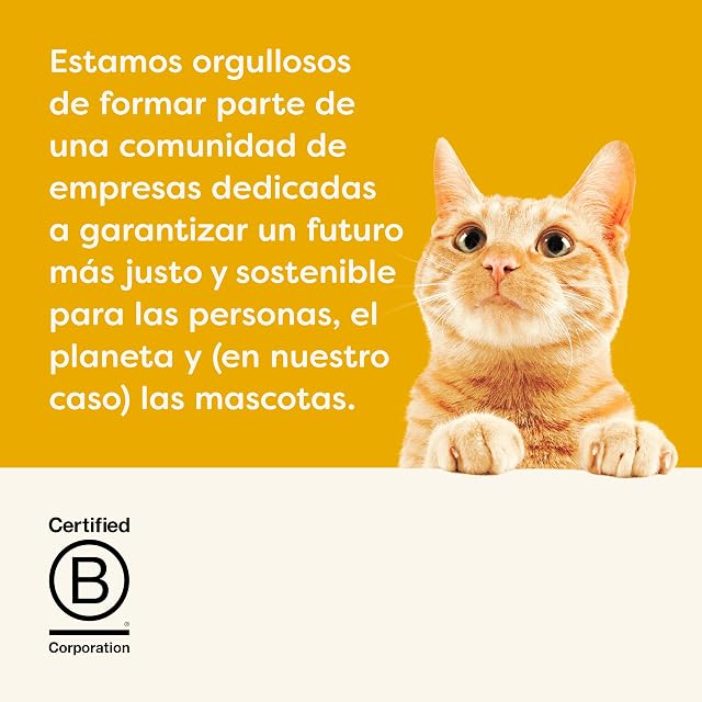 Foto 5 de 6 de Applaws: Comida húmeda Natural para Gatos en bolsitas, Pollo con Ternera en gelatina - 16 x 70 g