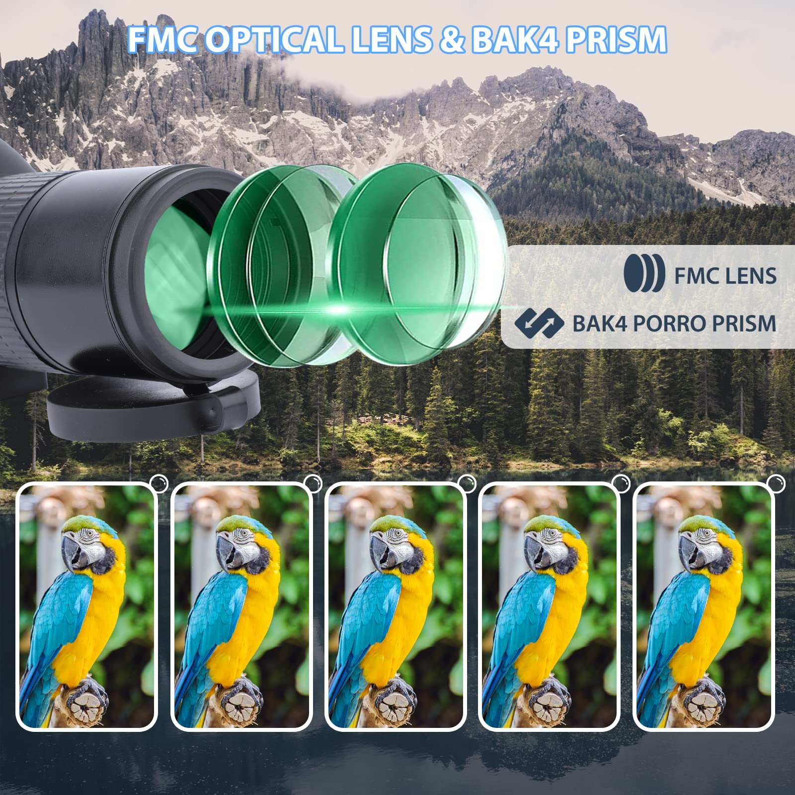 Telescopio Terrestre 12-36x50 HD con Trípode, Bolsa de Transporte y Adaptador de Teléfono Inteligente para Observación de Aves, Observación de Estrellas, Tiro con Arco, Paisaje de Vida Silvestre