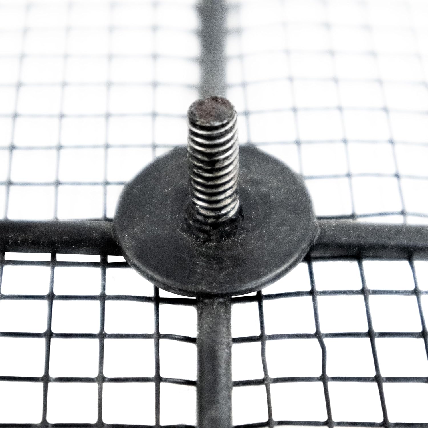 Wildlife Sciences Seed Tower Feeder for Birds, Silver, 1.5 Pound Capacity, Hanging Mount, 7.25 x 7.25 x 11.50 inches