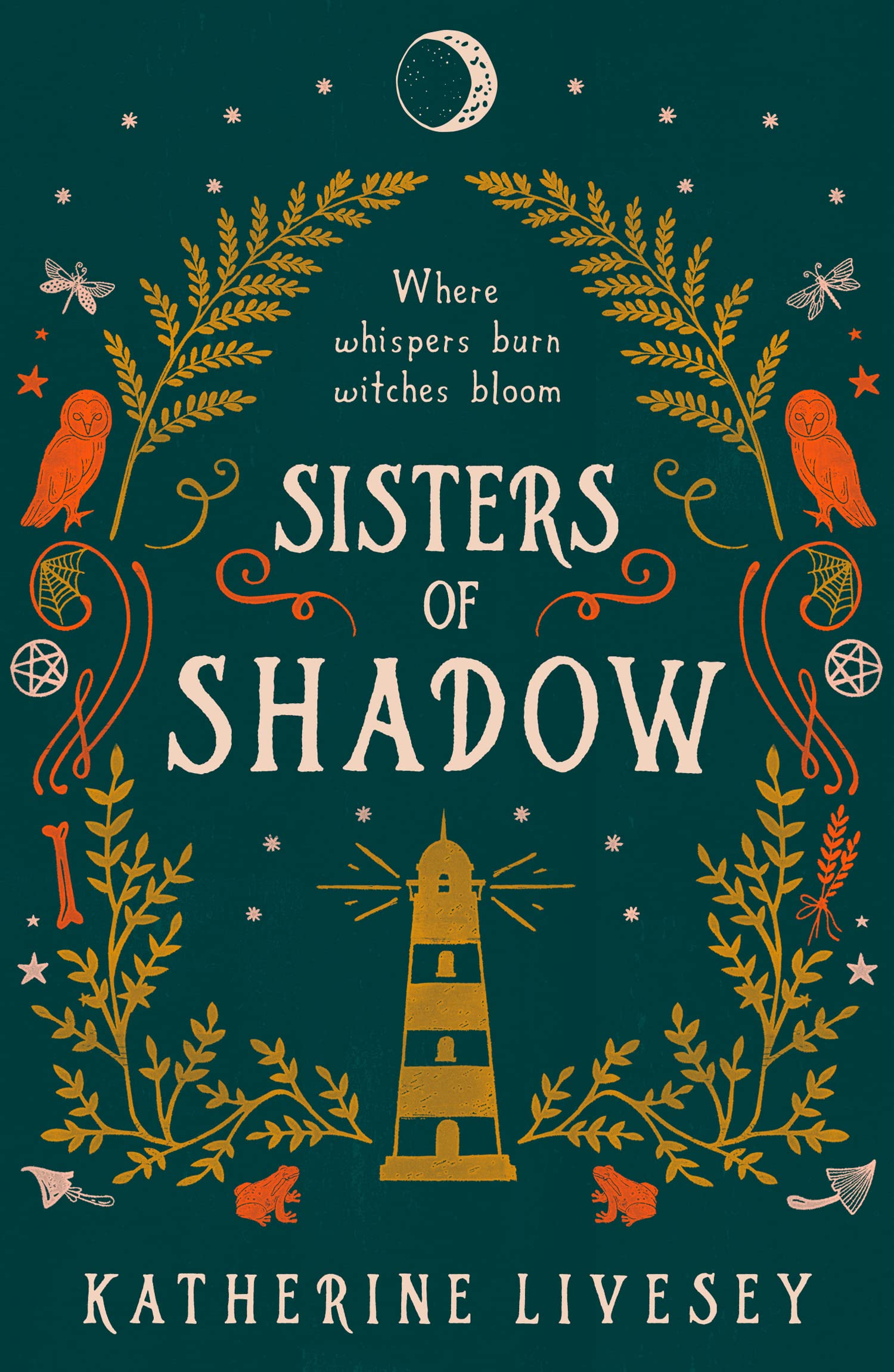 Sisters of Shadow: An unforgettable teen fantasy adventure perfect for fans of Shadow and Bone: Book 1