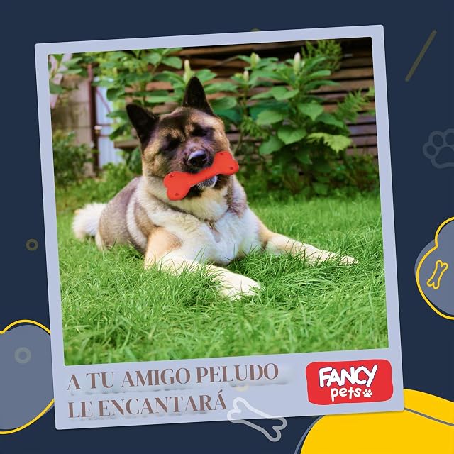 Foto 5 de 6 de FANCY Pets Juguete Mordedor para Perro Resistente
