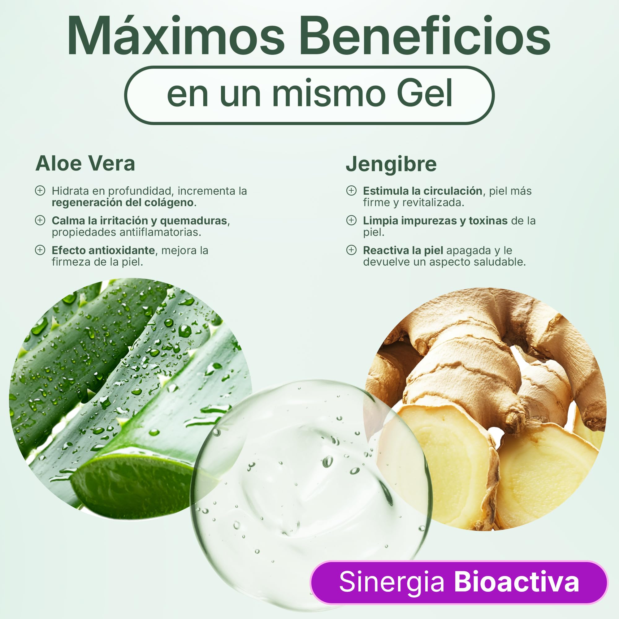 Gel de Aloe Vera & Jengibre – Hidratante y Reafirmante Natural – Con Aloe Fresco Ecológico de España – Uso Facial, Corporal y Capilar – Post-Solar, Piernas Cansadas, After Shave 1000 ml