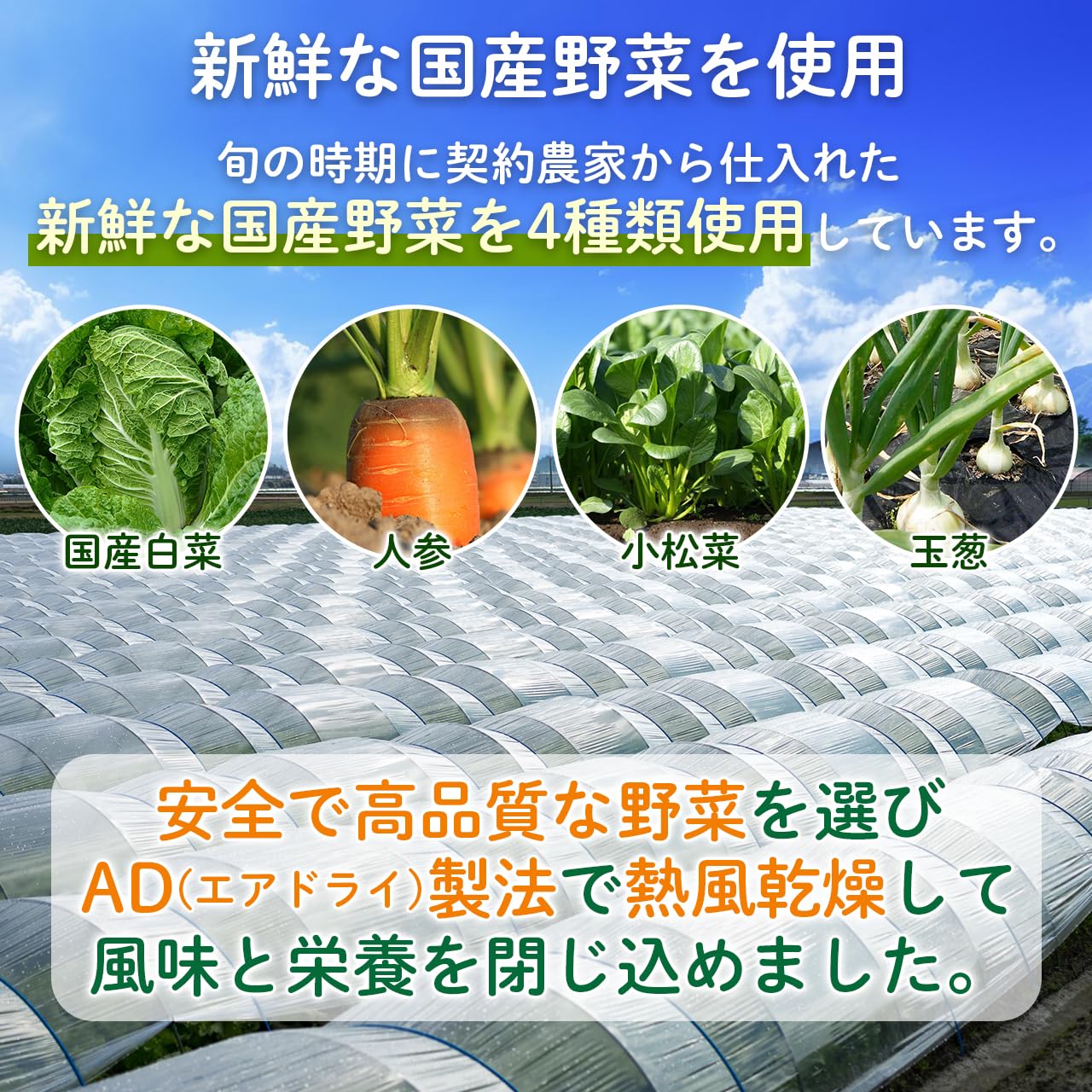 NICHIGA 国産乾燥野菜白菜ミックス700g国産野菜キャベツミックス700g Amazon.co.jp: NICHIGA(ニチガ) 国産野菜白菜ミックス 700g 食物繊維
