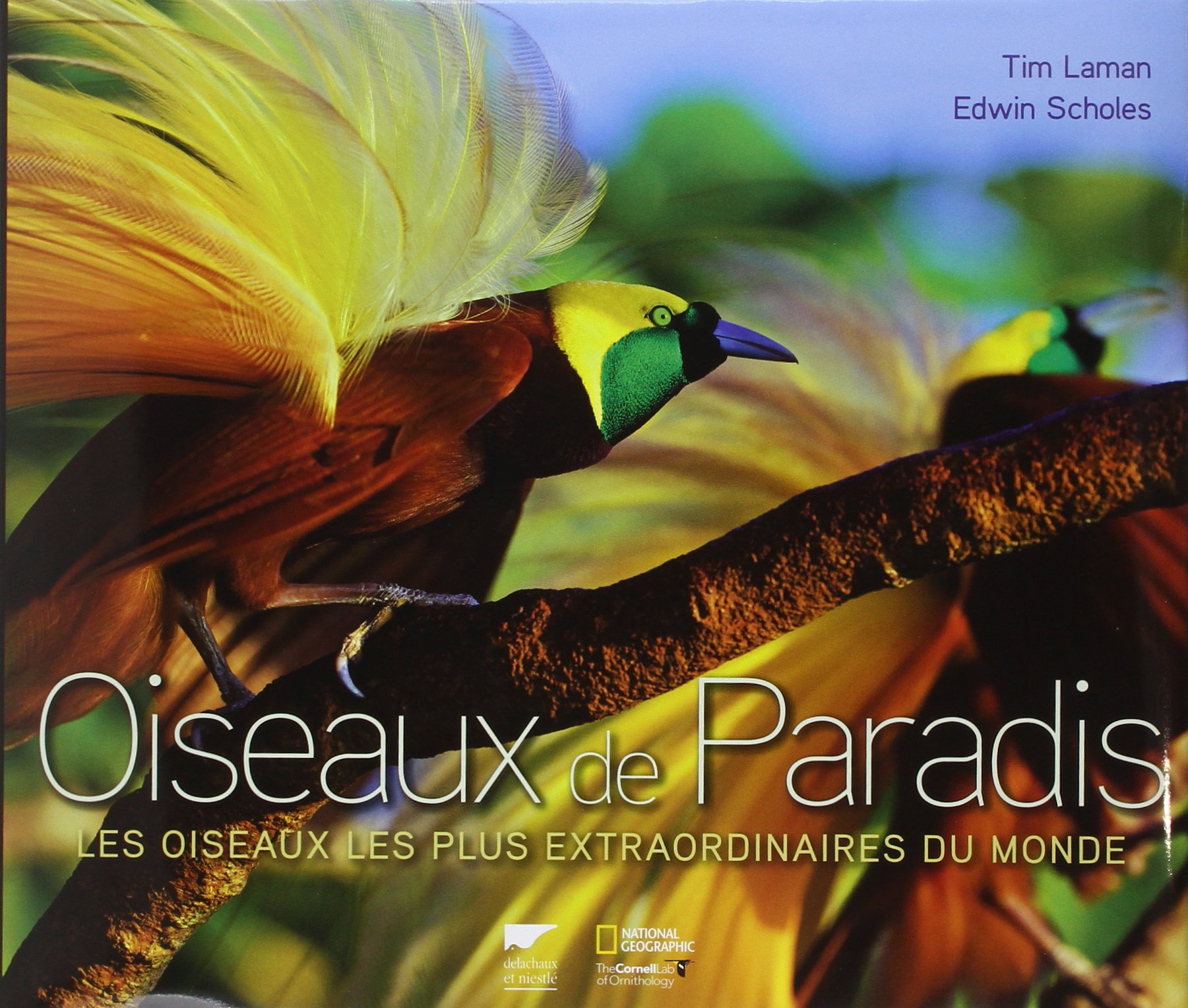 Oiseaux de Paradis: Les Oiseaux les plus extraordinaires du monde
