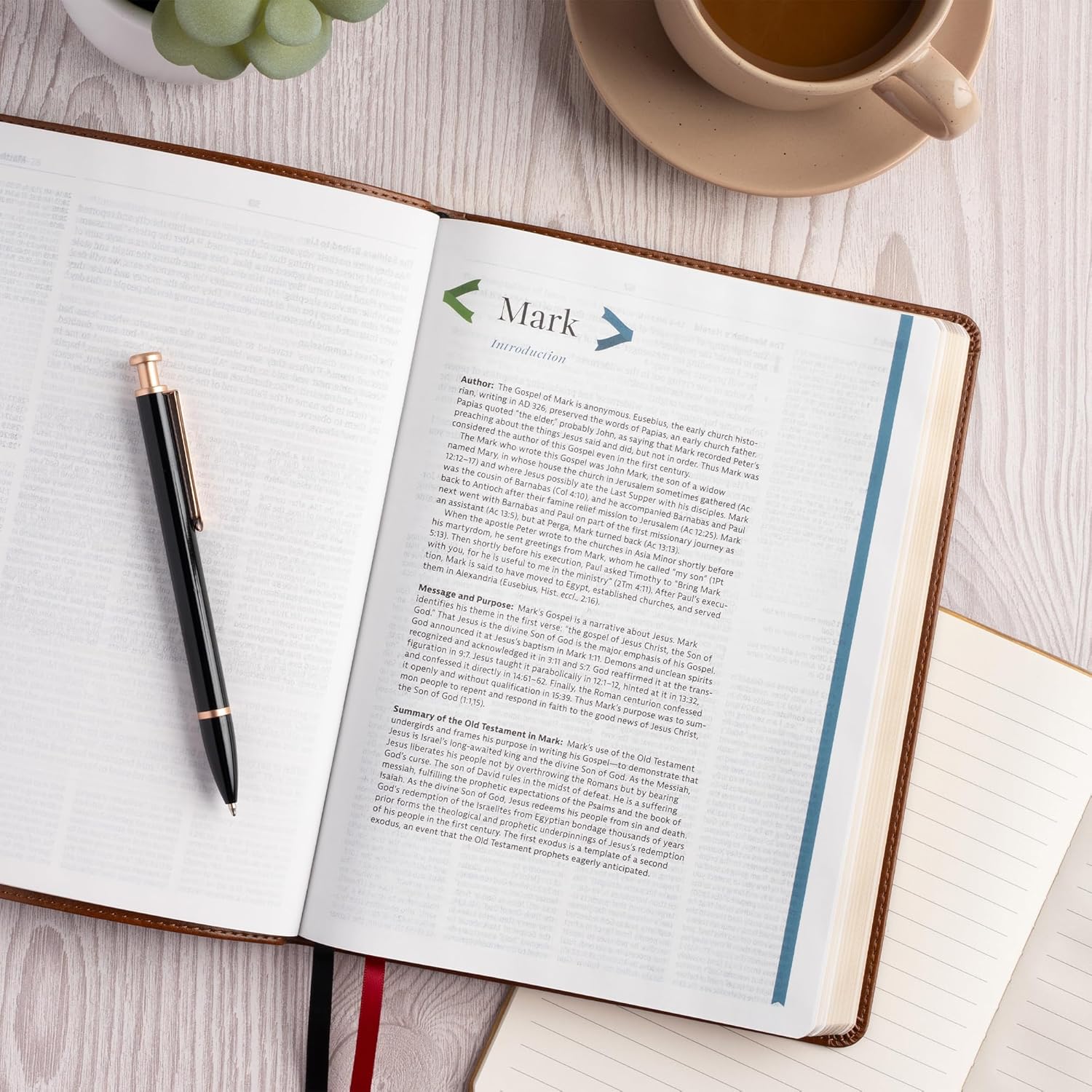 CSB Connecting Scripture New Testament, Brown LeatherTouch, Black Letter, Single-Column, Expanded Cross-Reference System, Color-Coded Text, Book Introductions, Study Notes, Articles, Charts
