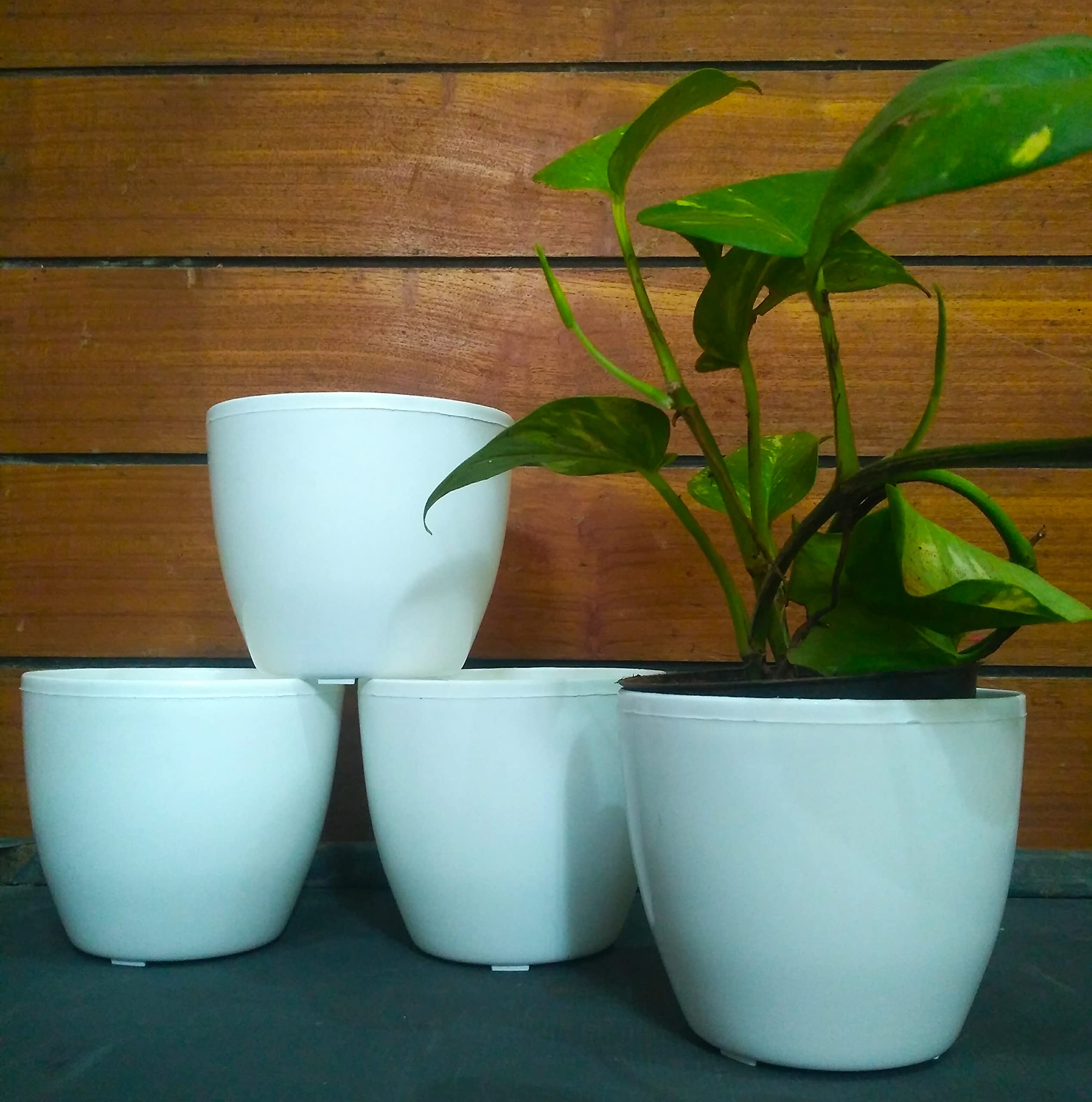 VGreen Garden Indoor Decor Table Top Plastic Planter Set of 6 (Round) White Colour (B08K3CMMZM) Amazon Price History, Amazon Price Tracker