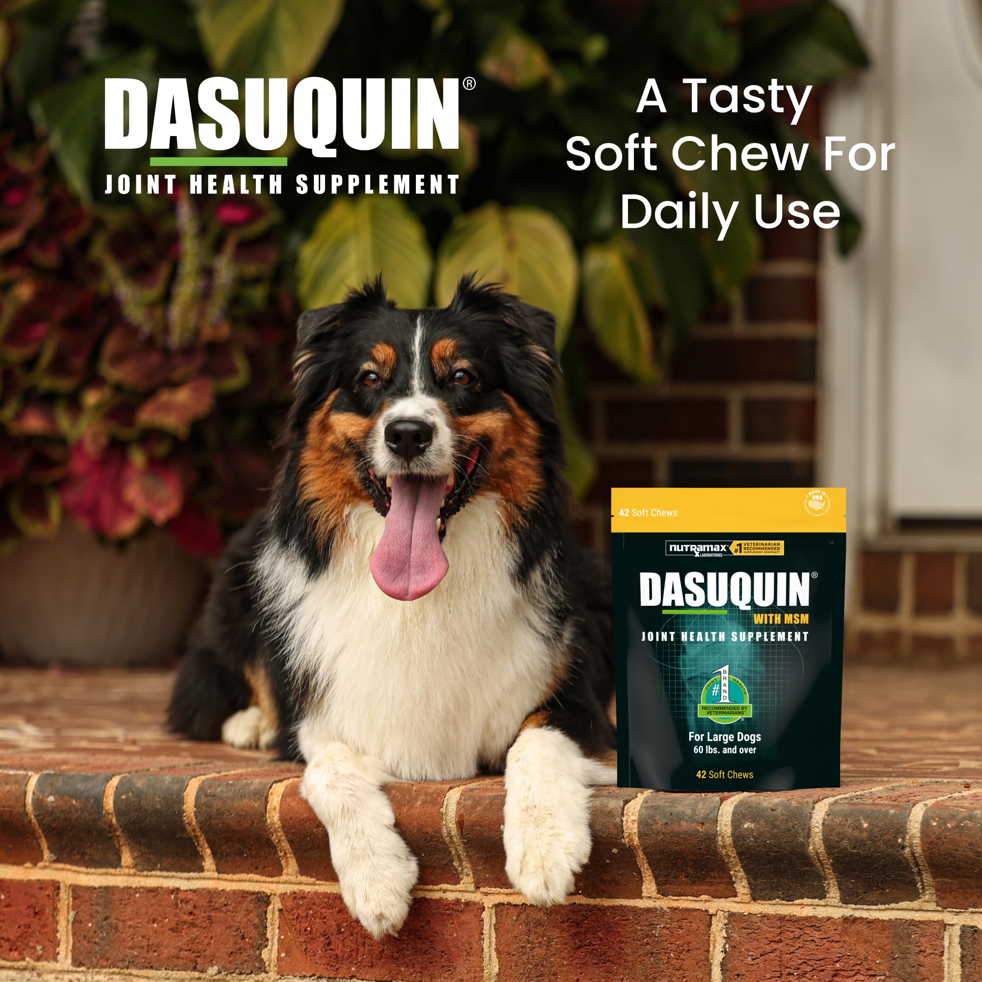 Nutramax Dasuquin for Large Dogs, Joint Health Supplement, Contains Glucosamine for Dogs, Plus Chondroitin, ASU, MSM and More, Supports Healthy Joints, Soft Chews, 42 Count - image 4
