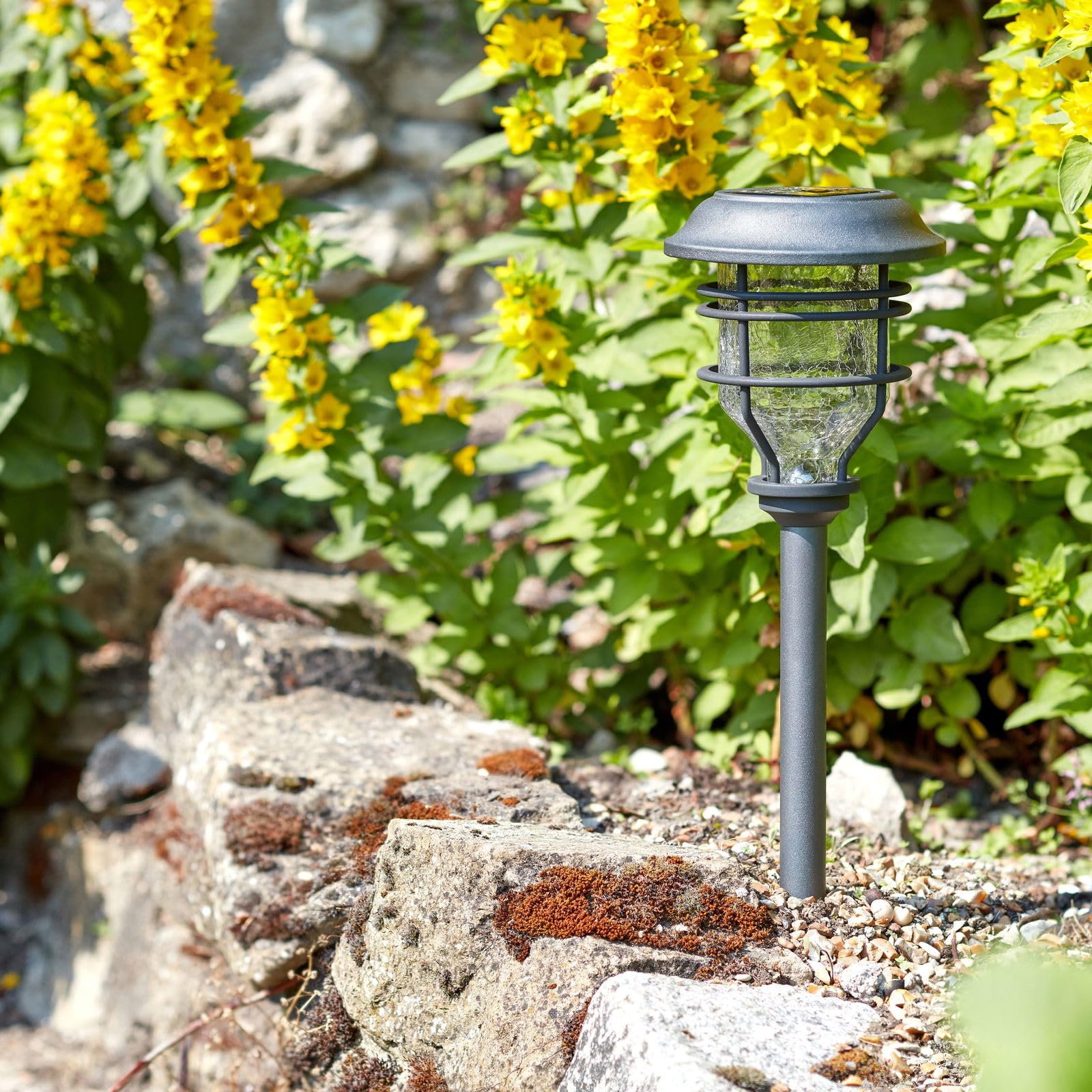 Smart Garden Light Smart Solar Superbright Capri Stake 10L