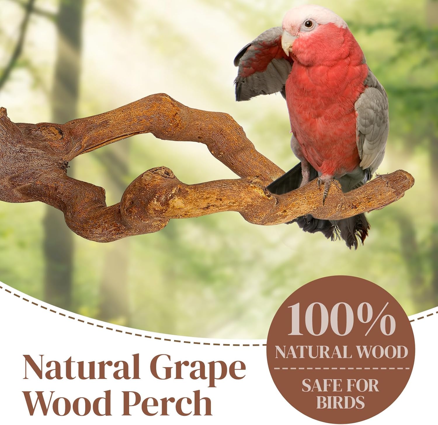 5 Pack Natural Wood Bird Perch Toys Set with Swing & Rope - Chewable Bird Cage Accessories for Small Parrots, Parakeets，Budgies, Cockatiels, Conures