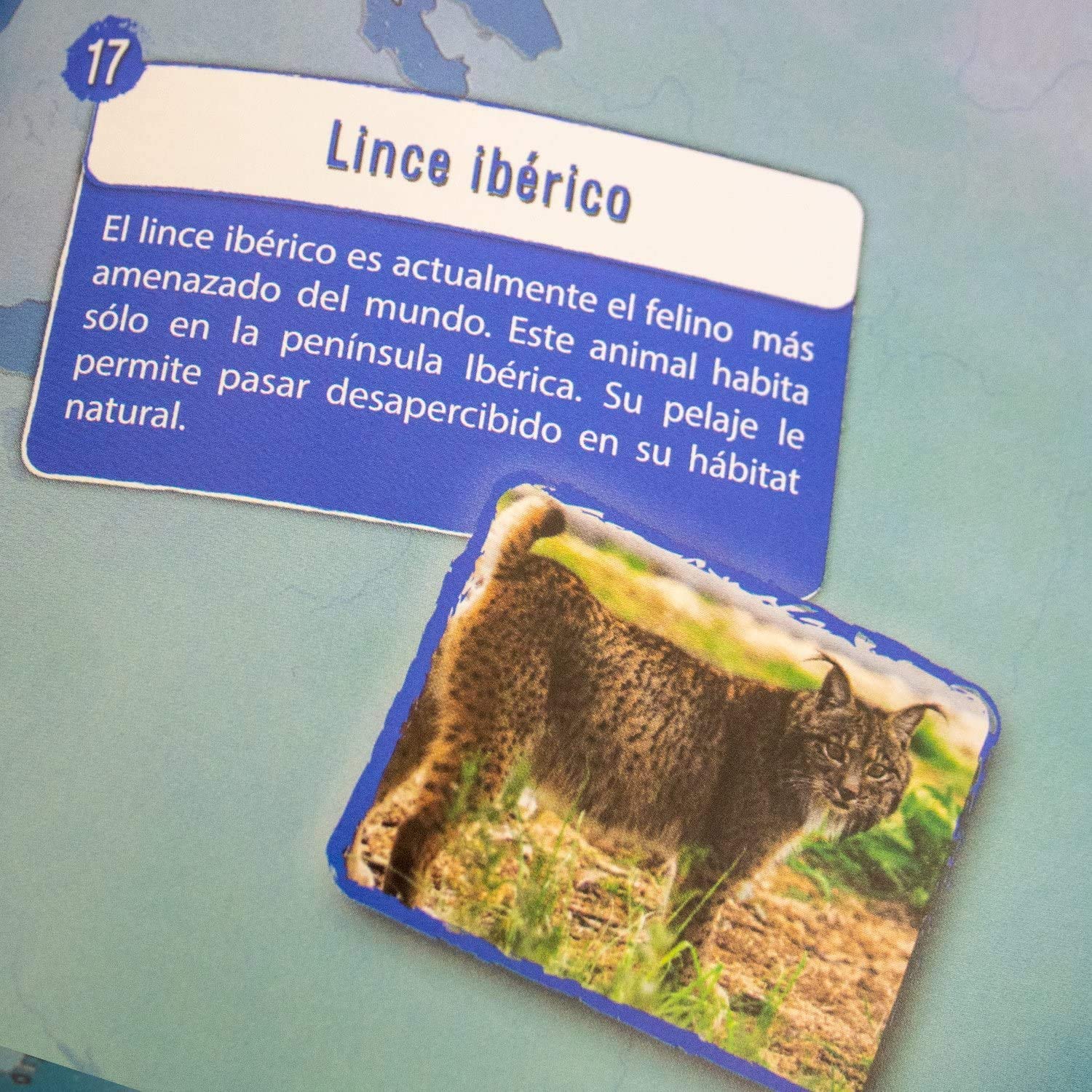 Science4you - Globo Terráqueo y Atlas Mundial, Libro Educativo, Globo Girable para Niños 6 7 8 9 10 Años