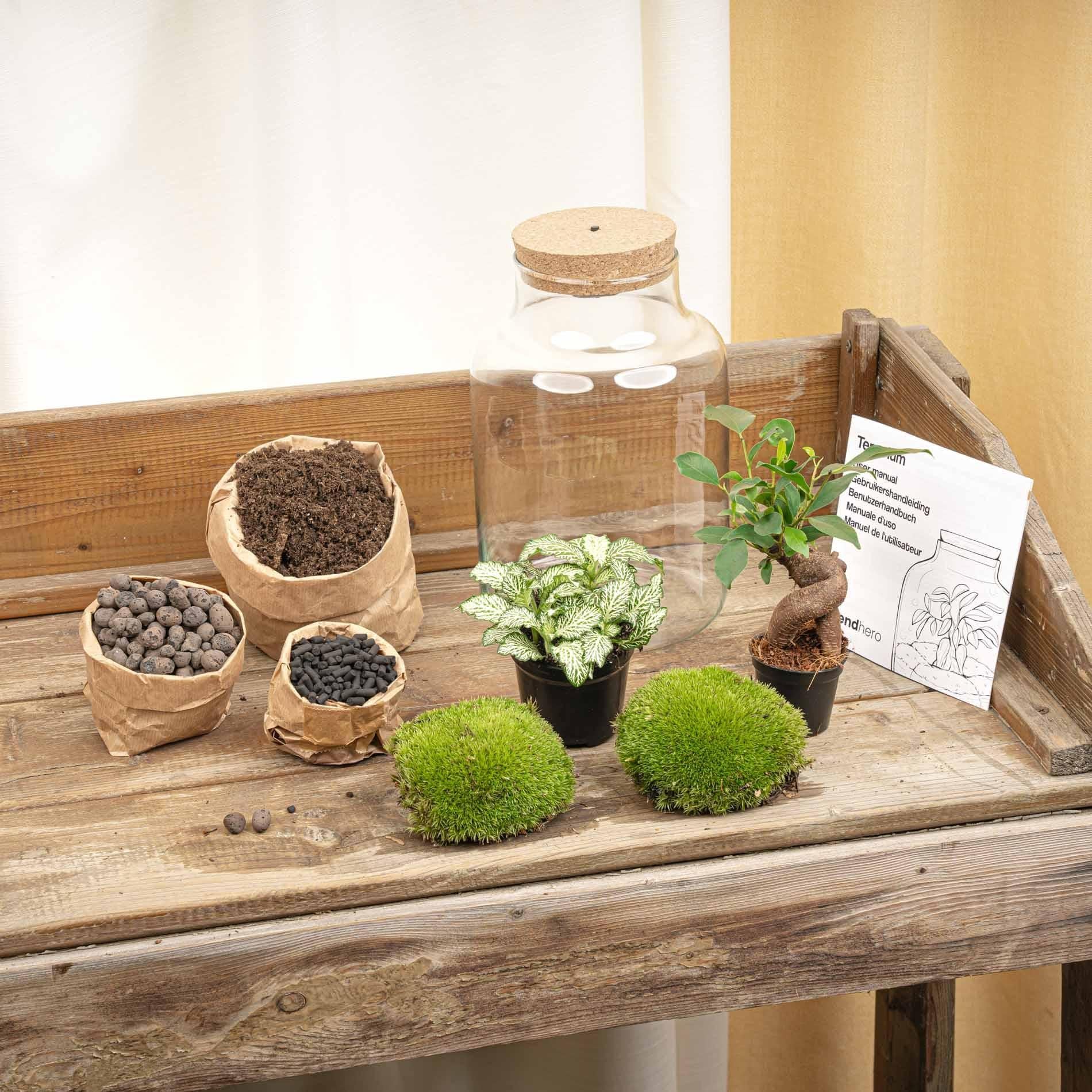 Flaschengarten DIY Terrarium Little Milky – Ø17xH25cm | LED-Kork, Moos