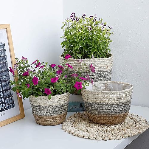 CENGNIAN Cesta de cuerda de paja para plantas, cesta tejida en espiral para plantas, cubierta decorativa para macetas, contenedor de almacenamiento,