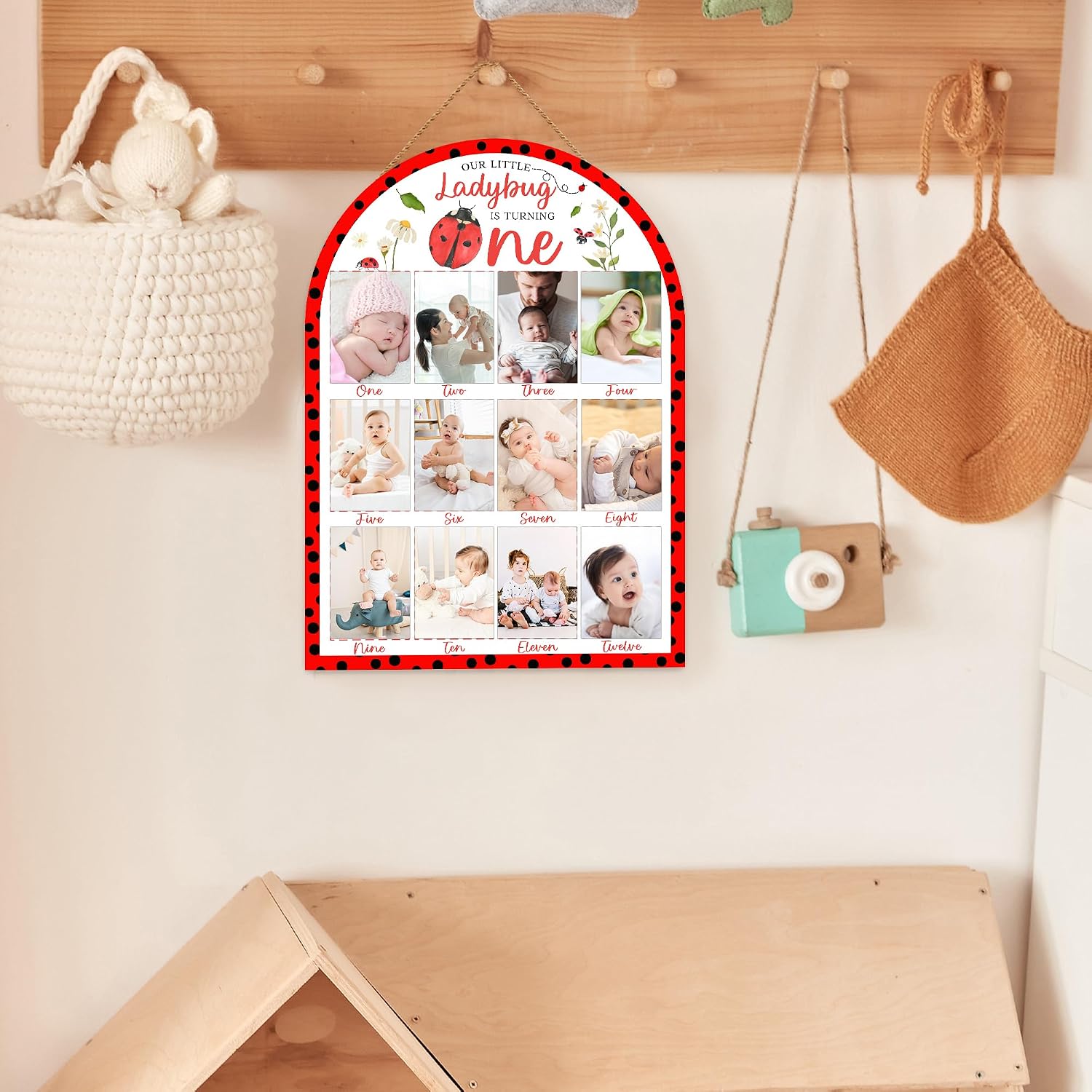 Ladybug My First Year Photo Board, Our Little Ladybug is Turning One Decoration Photo Frame, 12 Monthly Baby Milestone Sign, Gender Neutral Nursery Decor for Girl Boy, Baby Keepsake Gifts-A19