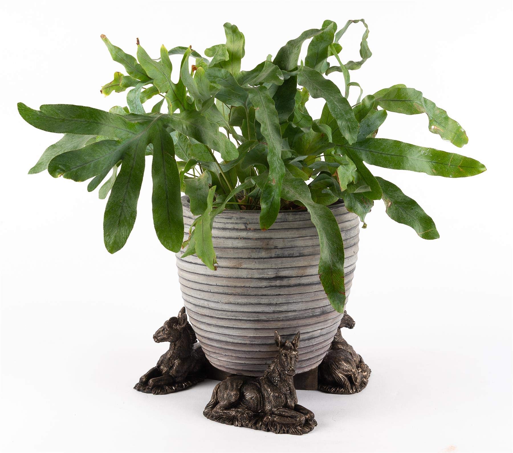Potty Feet Donkey Foal Figures Plant Pot Feet - Planter Support - Handmade Decorative Ornaments - 3pcs