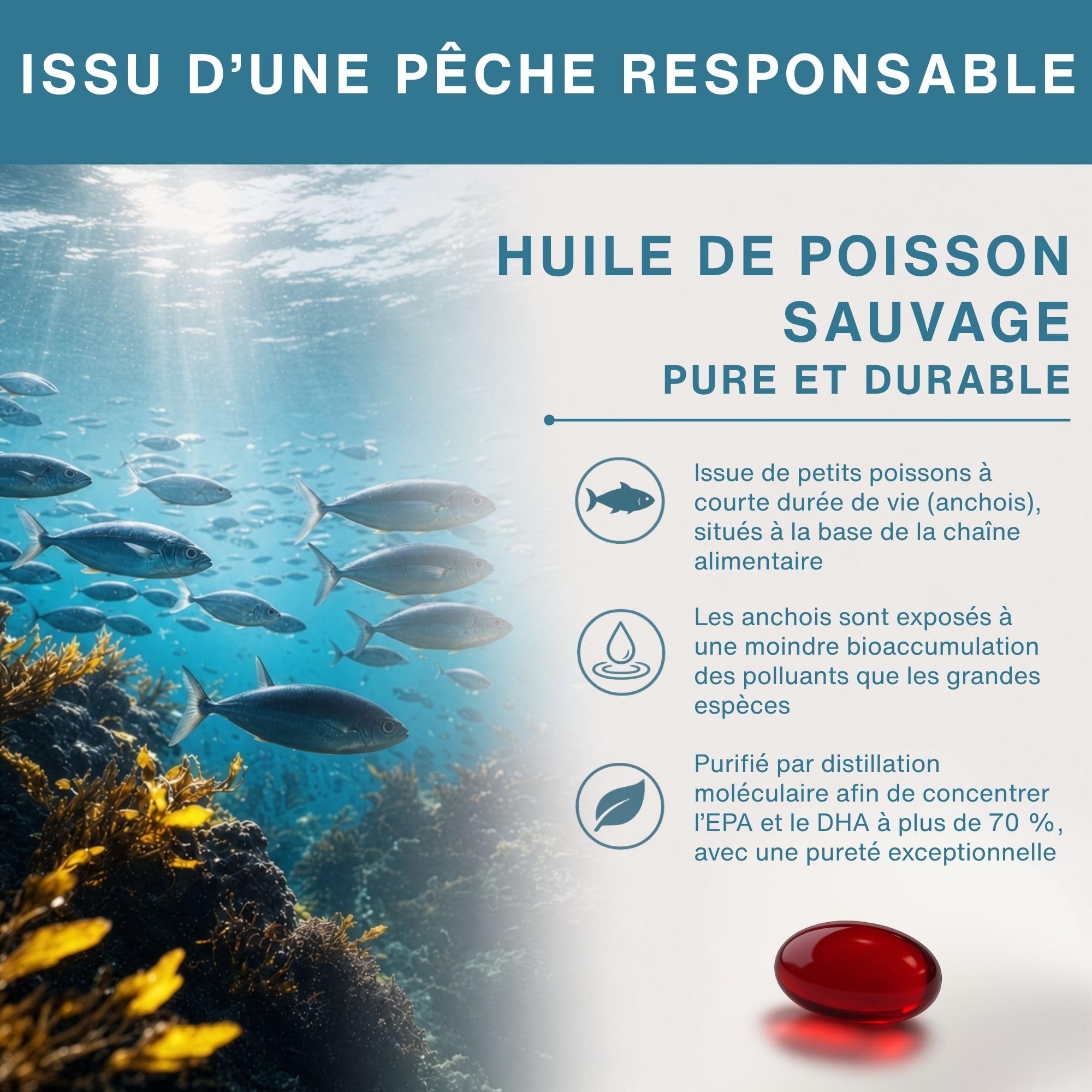 Igennus Omega-3 Huile de poisson sauvage et astaxanthine, certifié IFOS | Triglycérides rTG de qualité supérieure, acides gras oméga-3 EPA et DHA 1000mg, 180 capsules