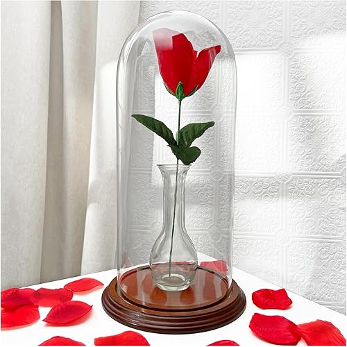 Miniatura 6 de Plymor Campana de cristal para exhibición de 5.5 x 13 pulgadas en forma de domo