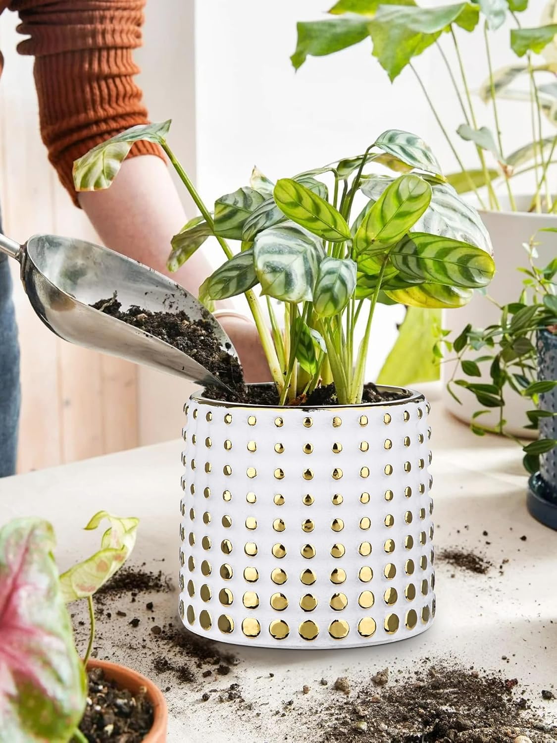 GnFlus Ceramic Plant Pots Indoor, 5.7 Inch Planters for Indoor Plants Gold Polka Dots Flower Pots with Drainage Hole, Cylinder Round Planters, Gold and White