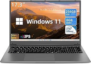 SGIN Windows 11 Laptop, 17" IPS Full HD Display Laptops Computer, 8GB RAM 256GB SSD Notebook with Intel Celeron Quad-core Processor, Mini HDMI, Webcam, Wi-Fi, Expandable Storage 512GB TF