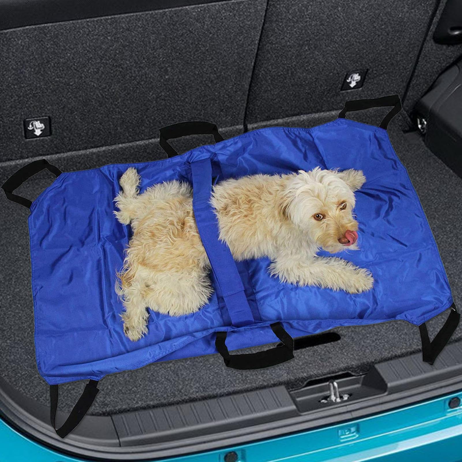 Civière de Transport pour Le Chien | Brancard Porte-Animaux | Léger pour Secours Et Levage De Patients Animaux Chiots Chats Lapins