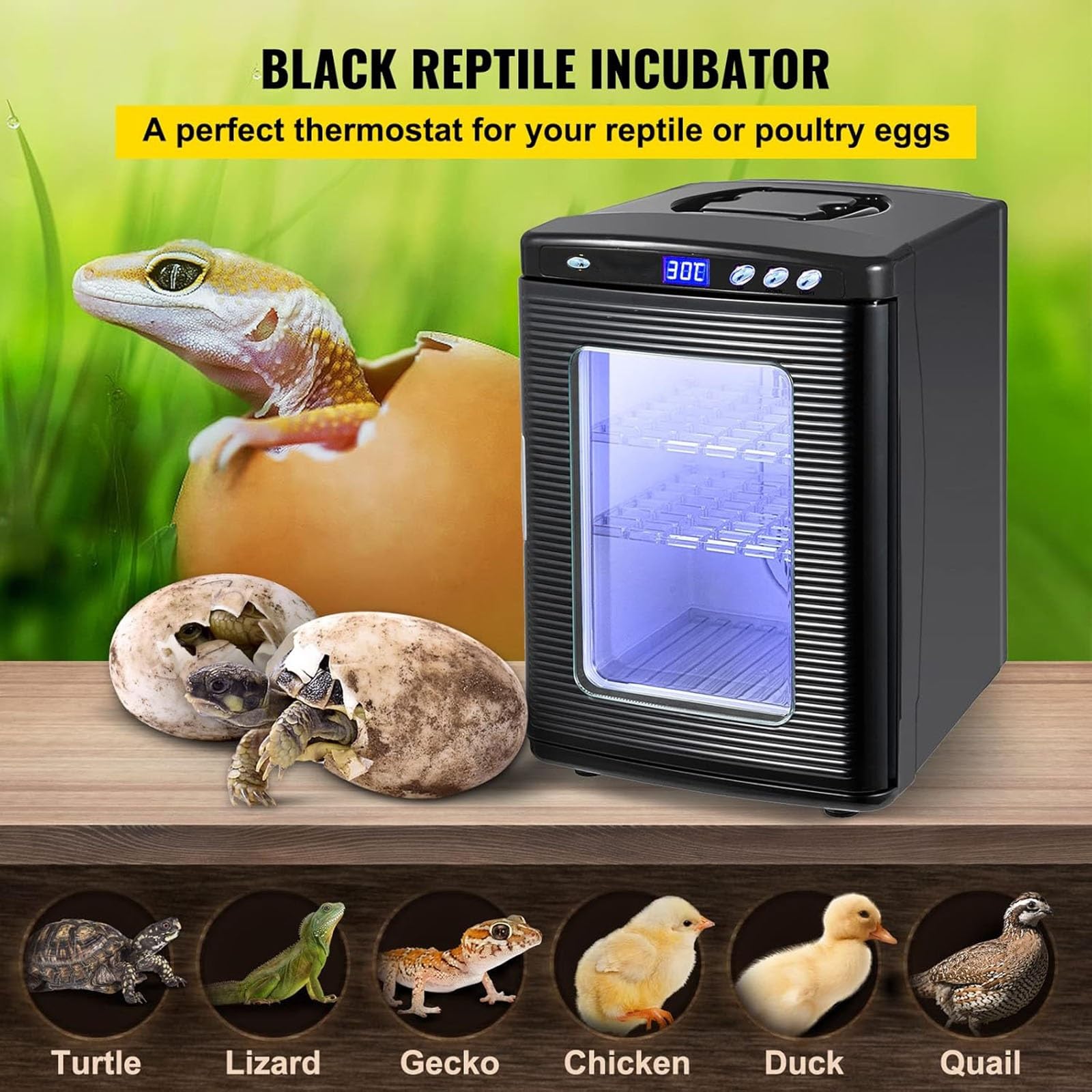 Incubadora de Huevos 25L Incubadora de Laboratorio Científica Con Calefacción Precisa 5–60°C/41–140°F, Incubadora Portátil para Incubar Huevos Con Alimentación AC DC