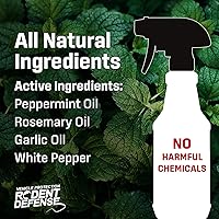 Vista 2 de Protección para automóviles