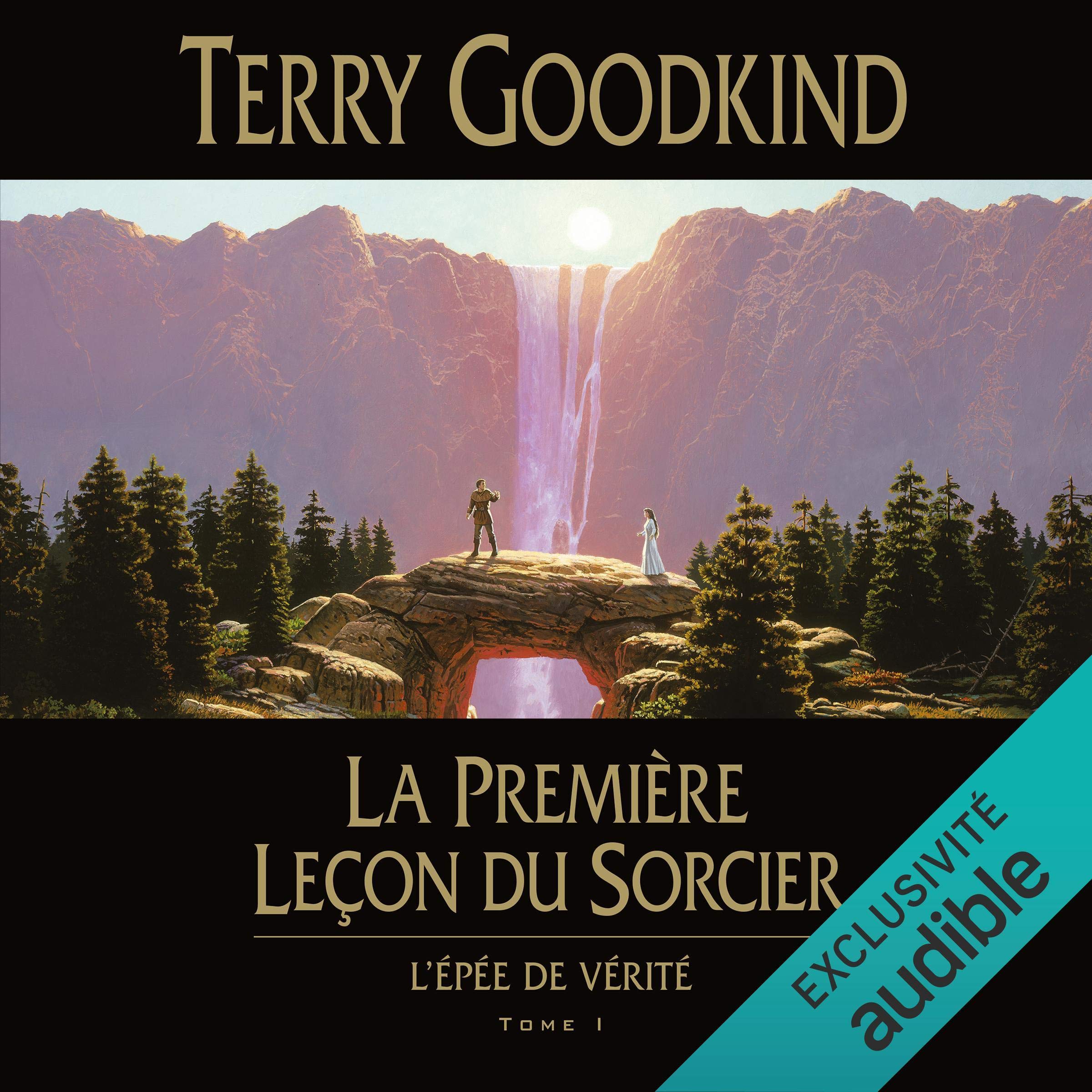 Cover art for La première leçon du sorcier