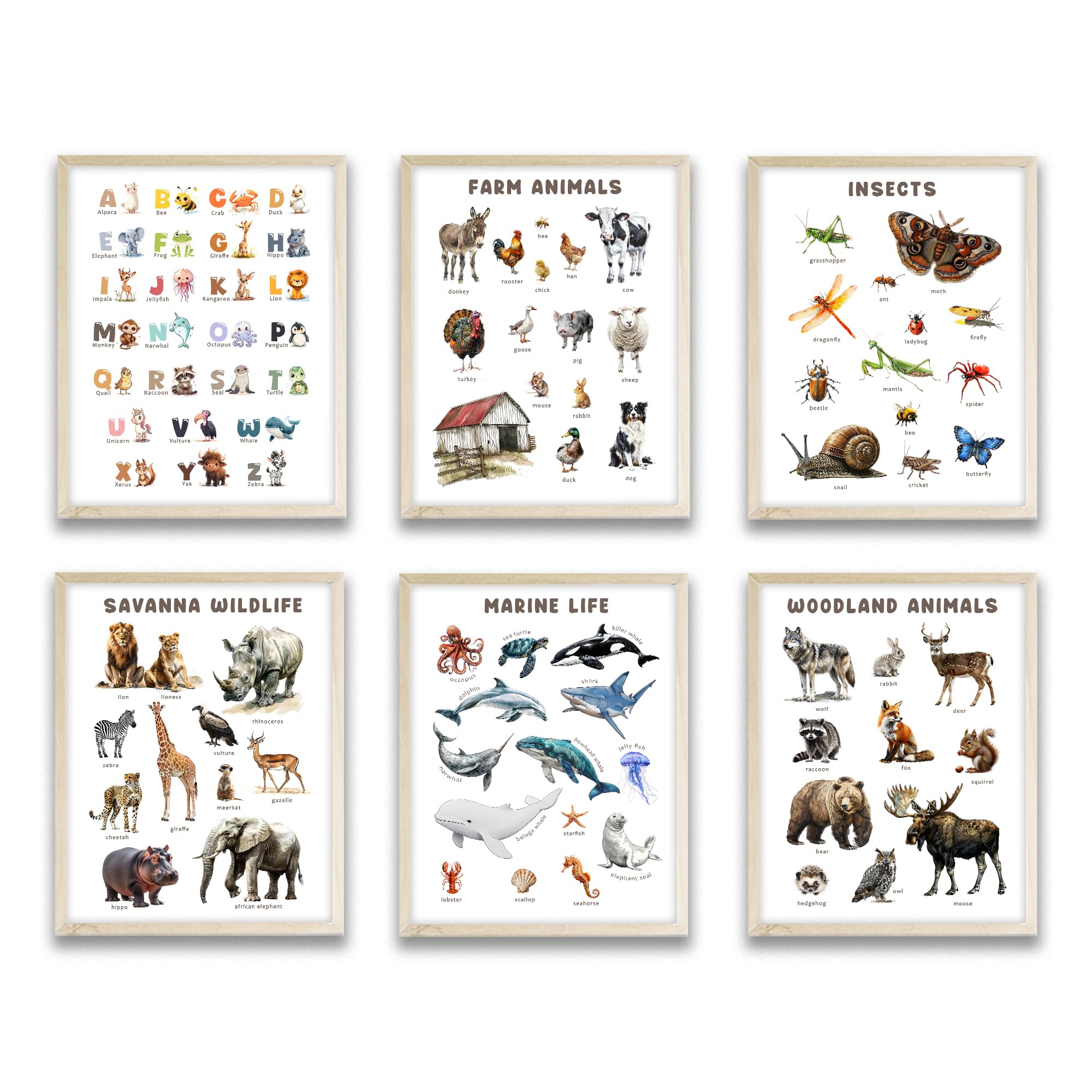 Eastern Print Set Of 6 Educational Posters For Toddlers 1-3, Toddler Learning Posters, Abc Chart, Animals Nursery Decor, Homeschool Decorations,